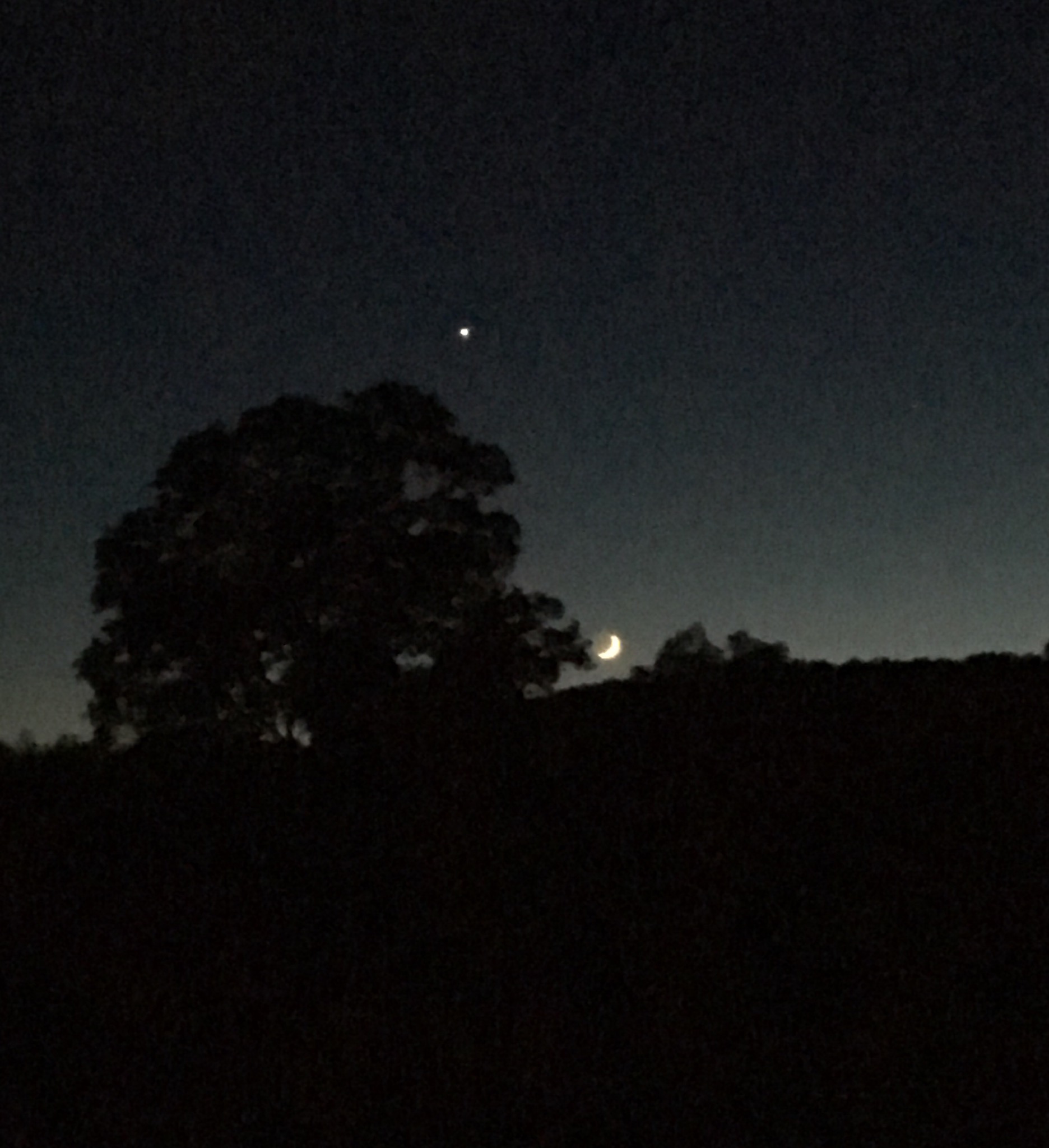 Peaceful nights, see the stars, fireflies, and hear the  crickets!