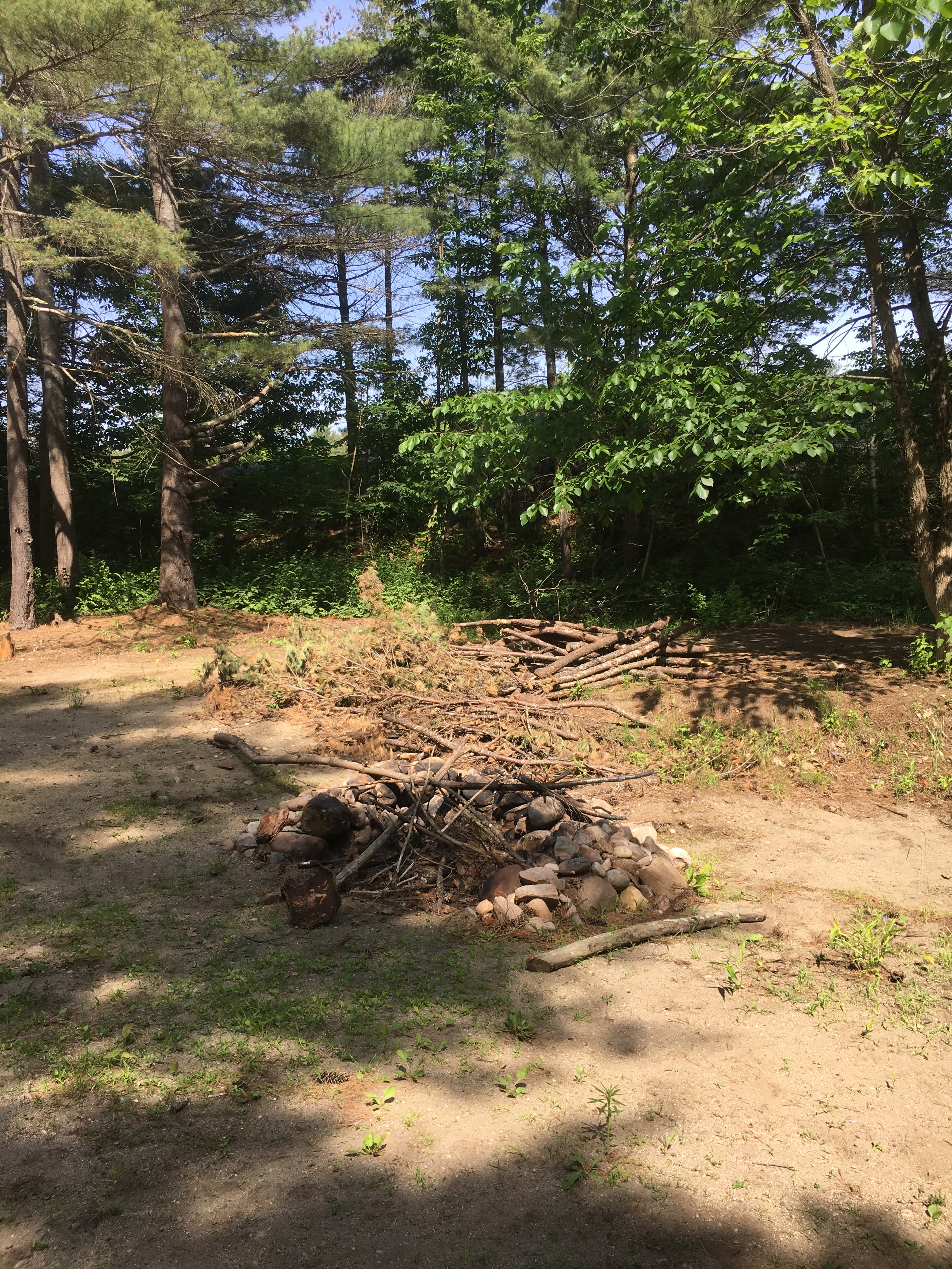 Some firewood to get you started. Much more available for free just gather it up. Split firewood available for sale if you don't want to gather your own.