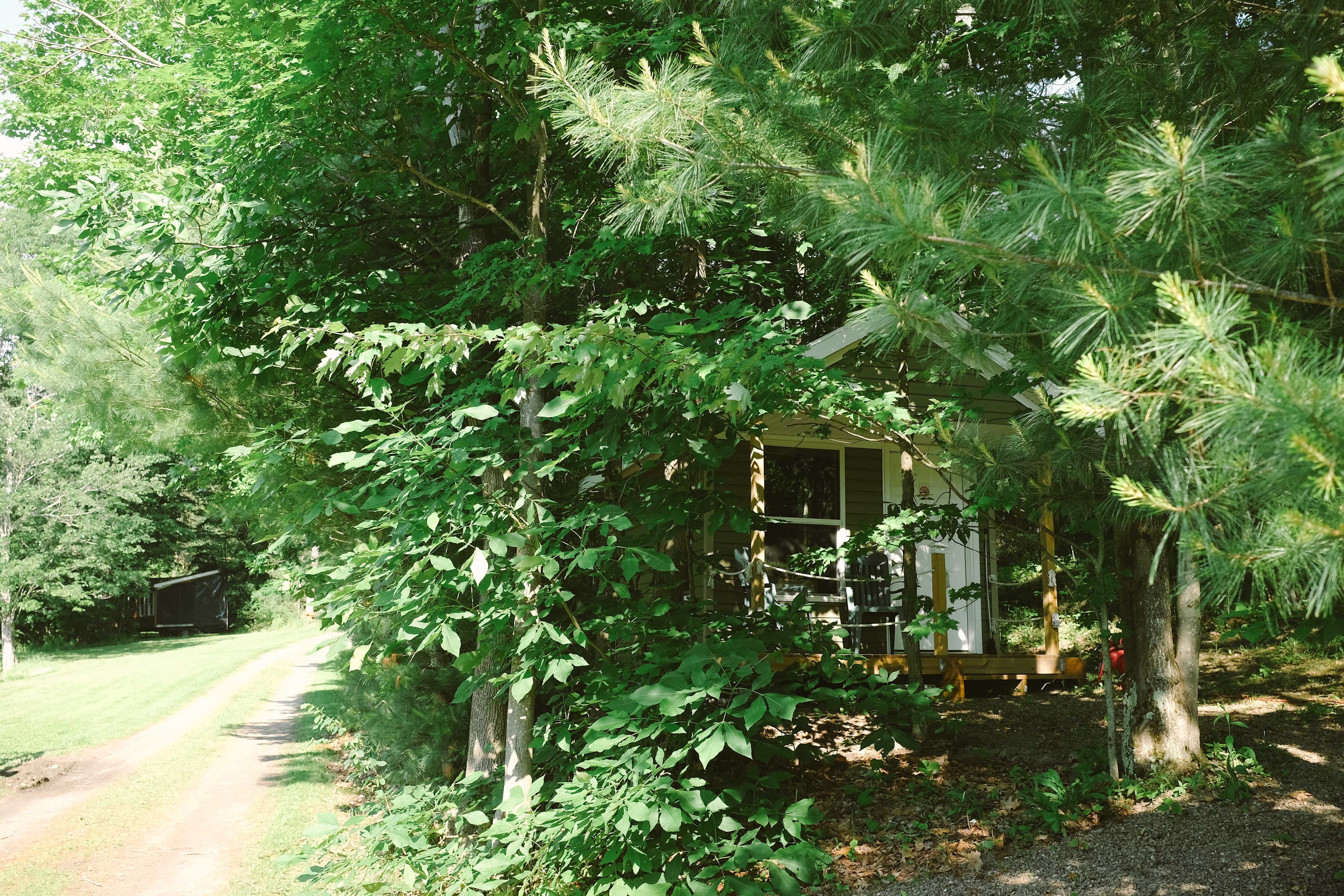 The cabin you'll be renting!