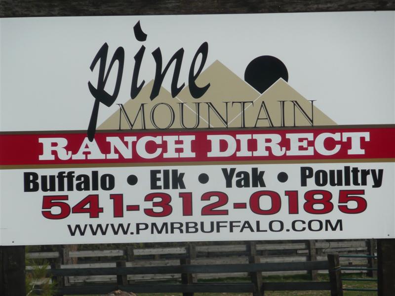 Pine Mountain Buffalo Ranch