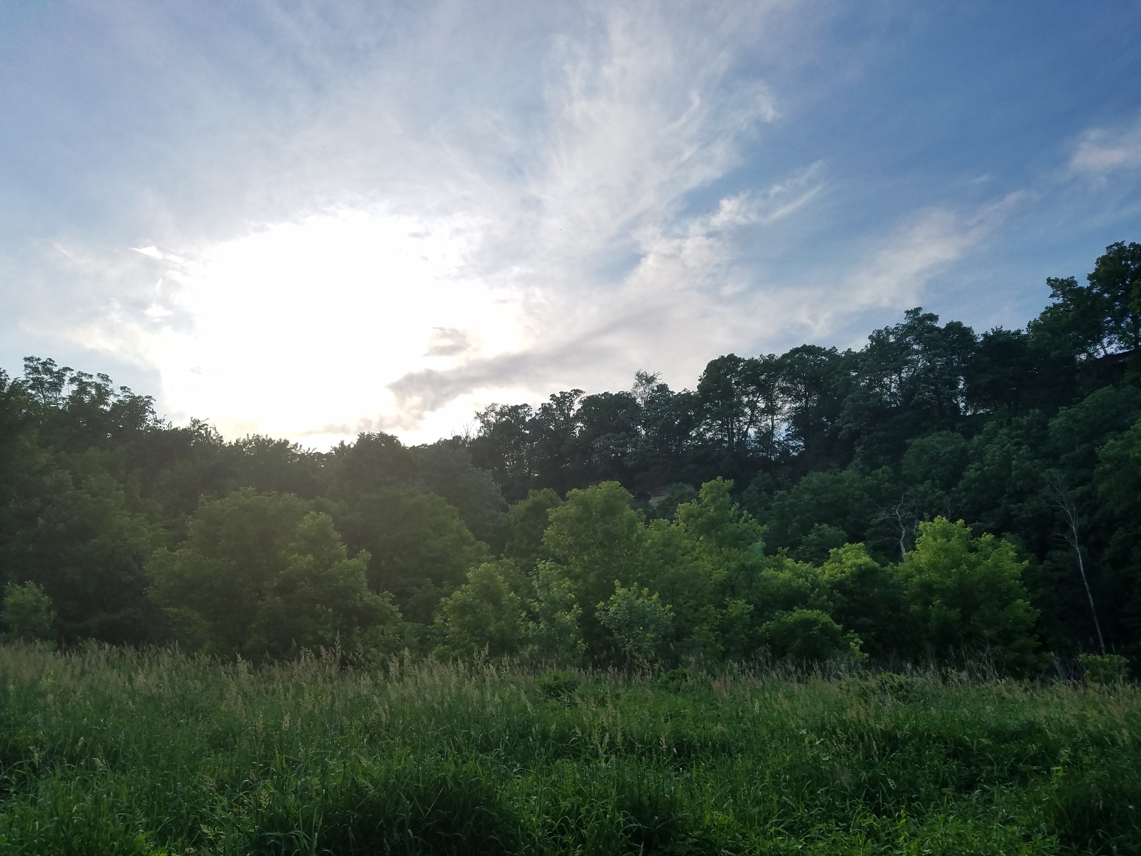 Evening serenity 