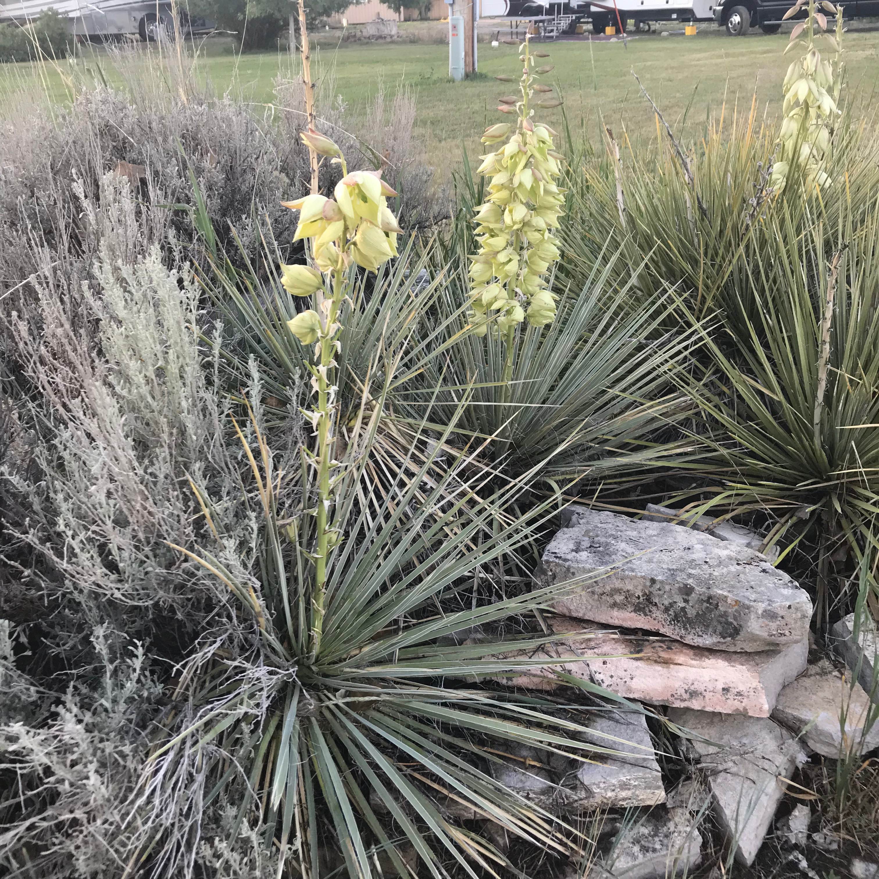 Beautiful grounds keeping 