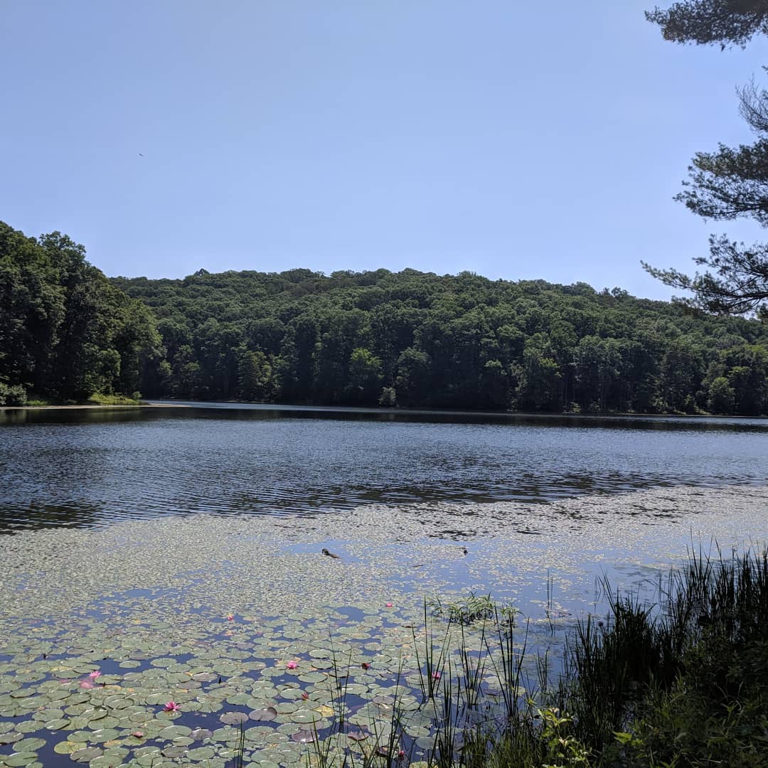Lake Hope-Furnace Trail