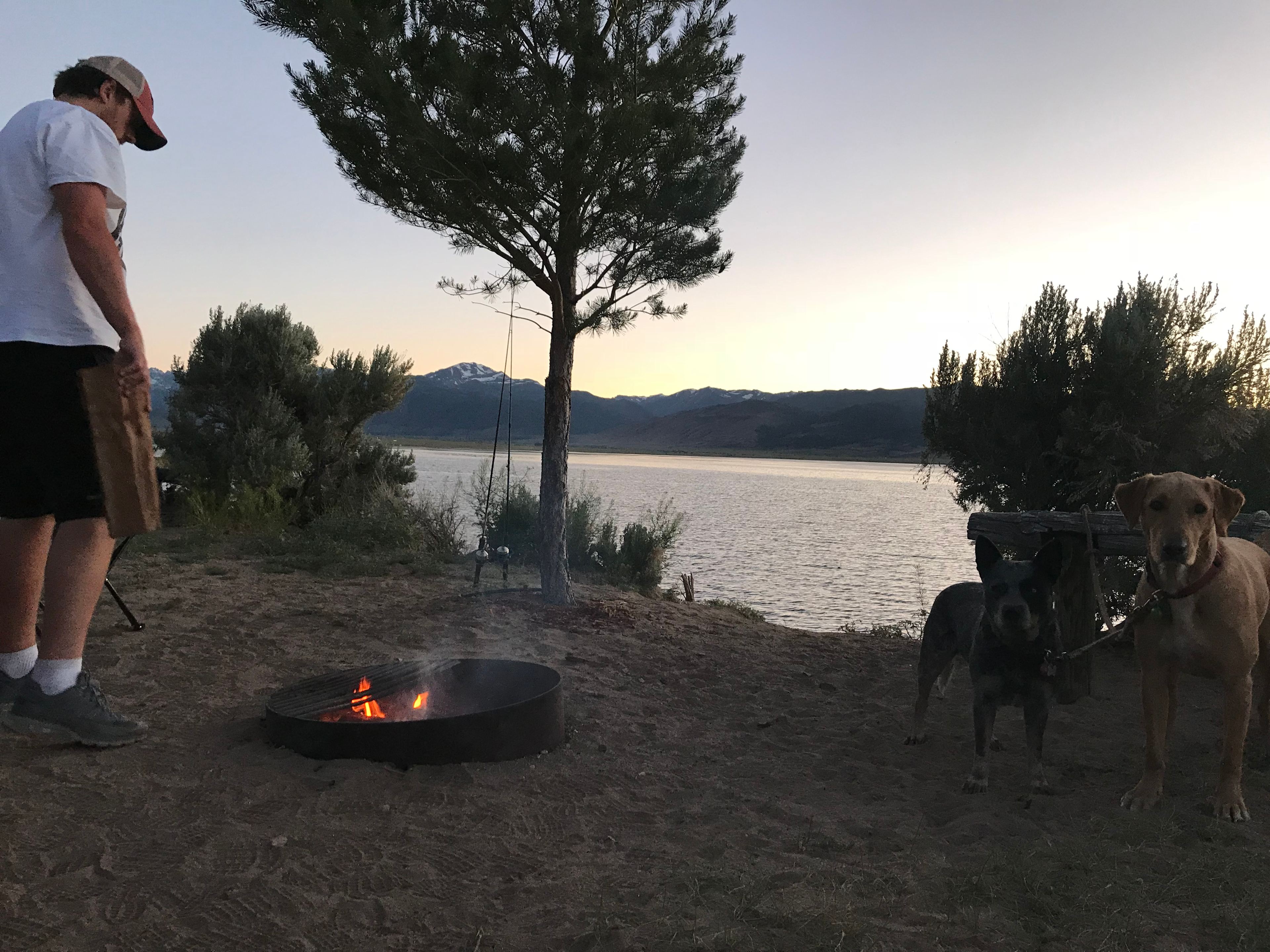 Site 5