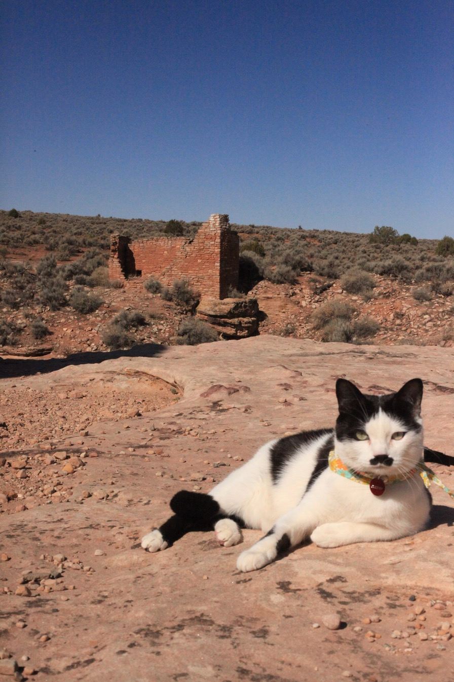 Hovenweep National Monument
