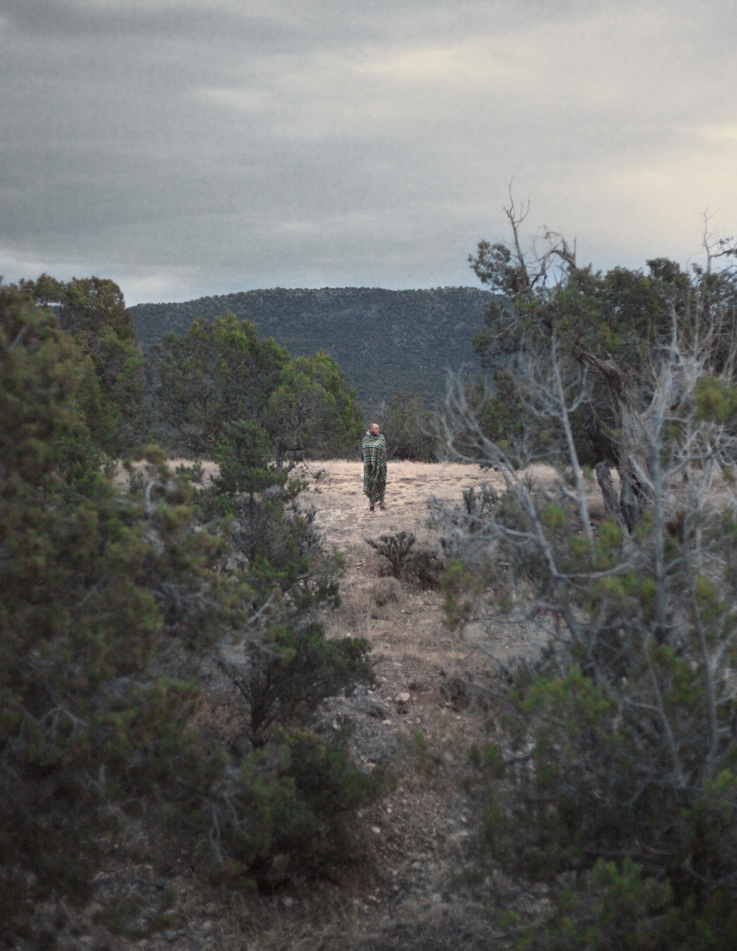 Navajo Lake State Park
