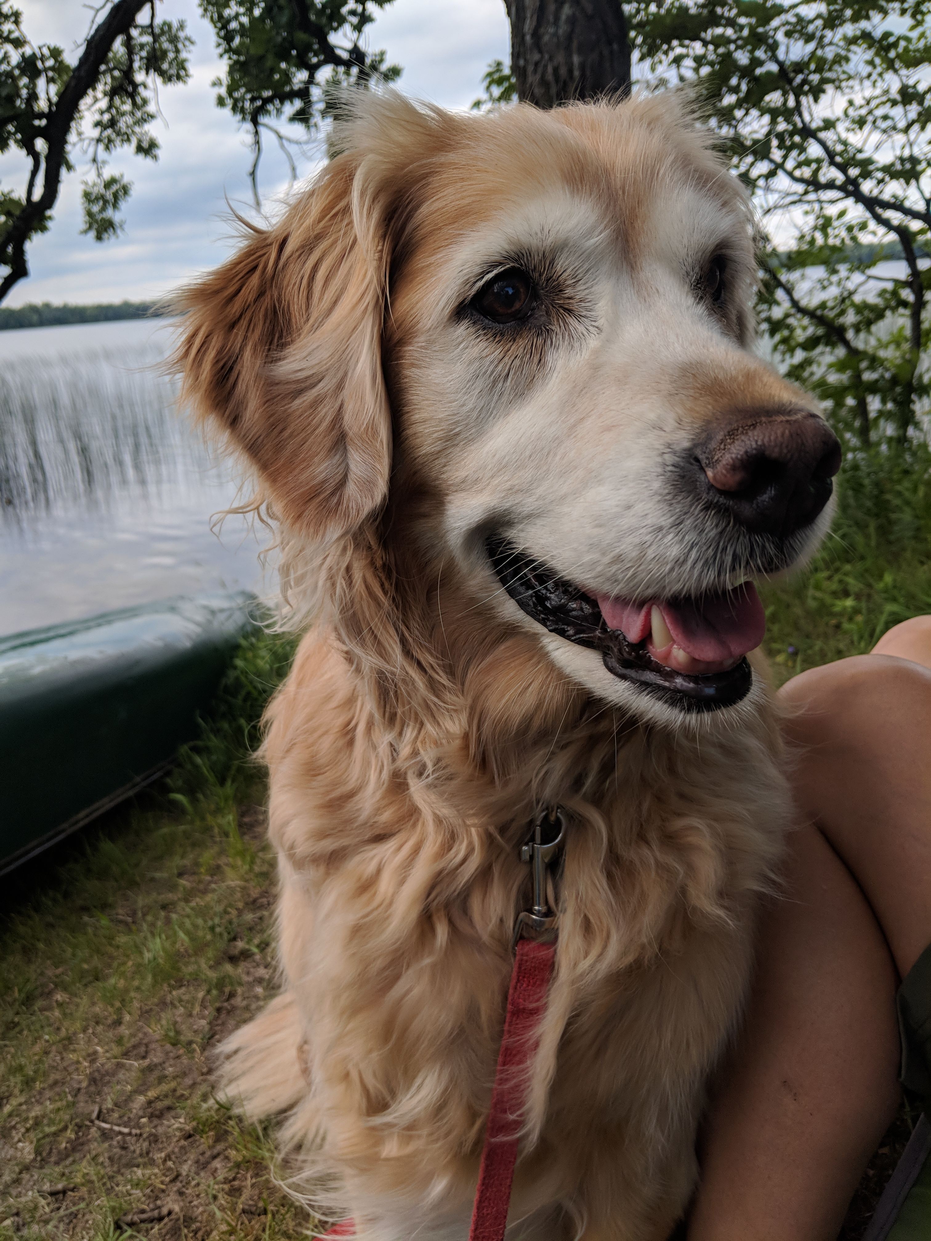 Glendalough Campground
