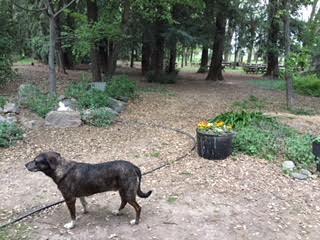 Walden Ranch