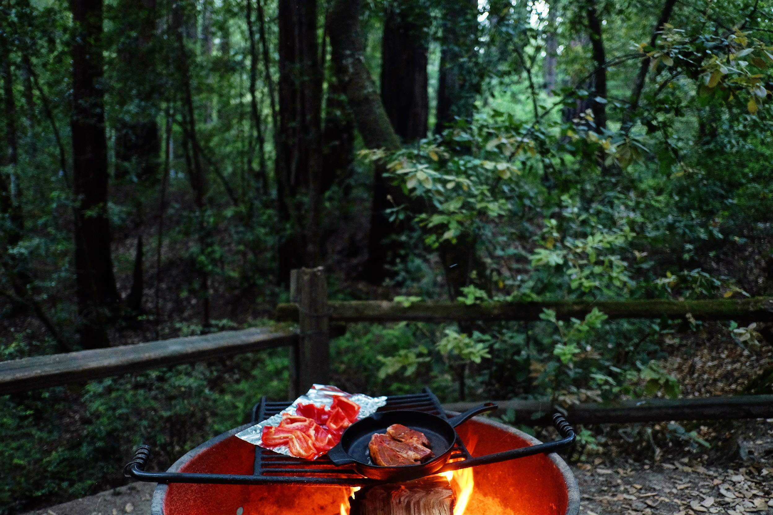 Big Basin Redwoods State Park