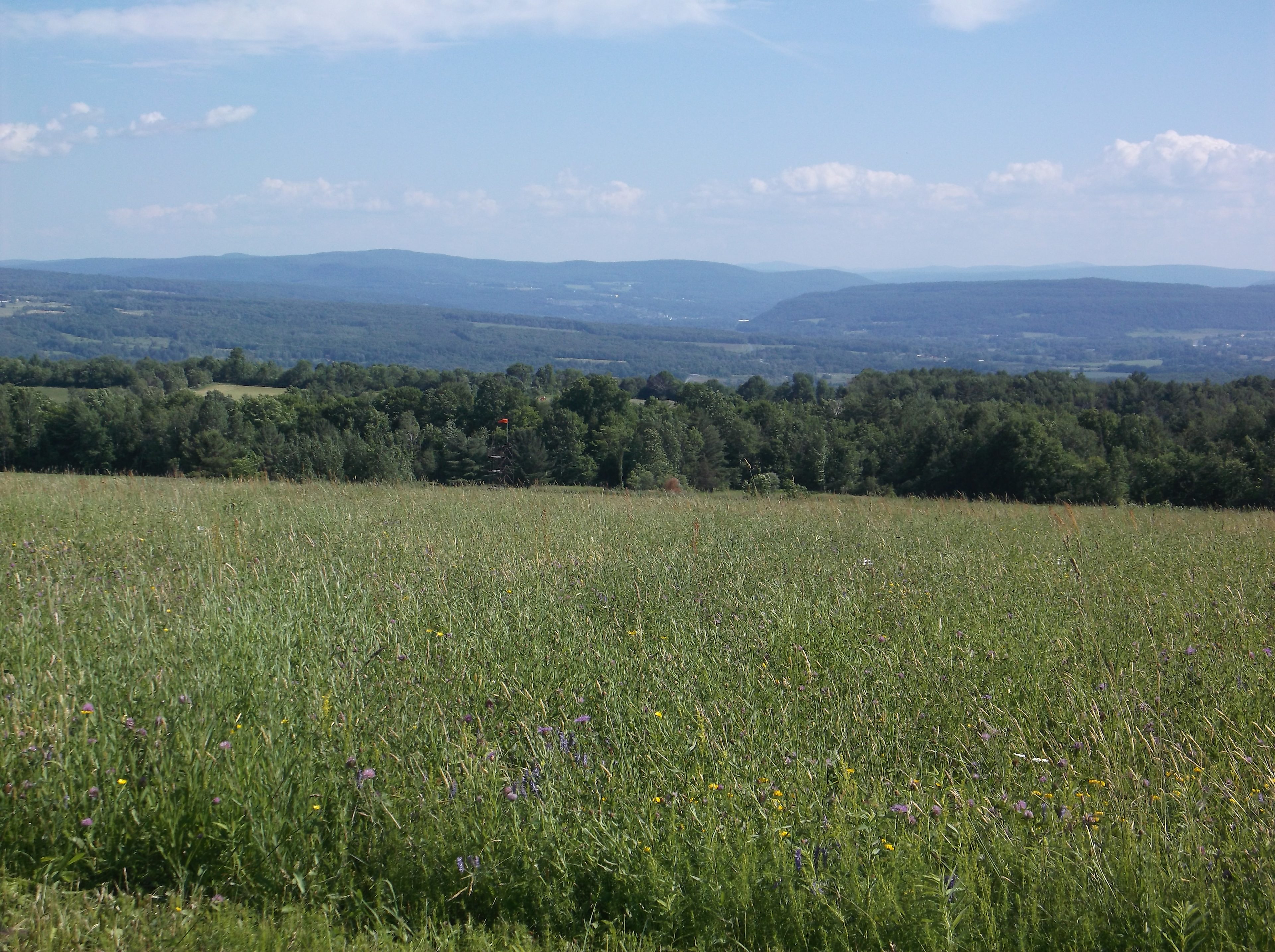 View looking south