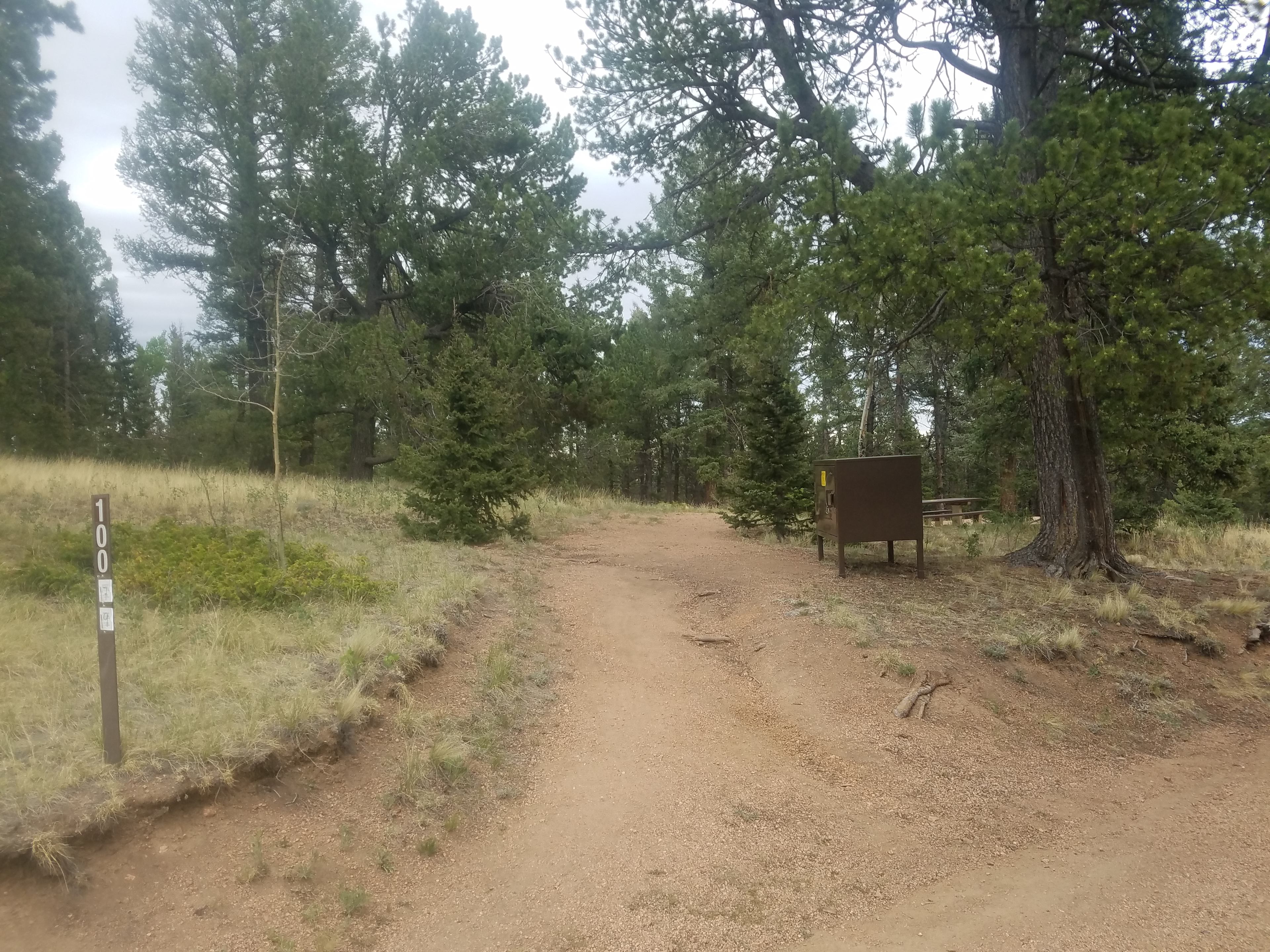 Huge site, little tree coverage