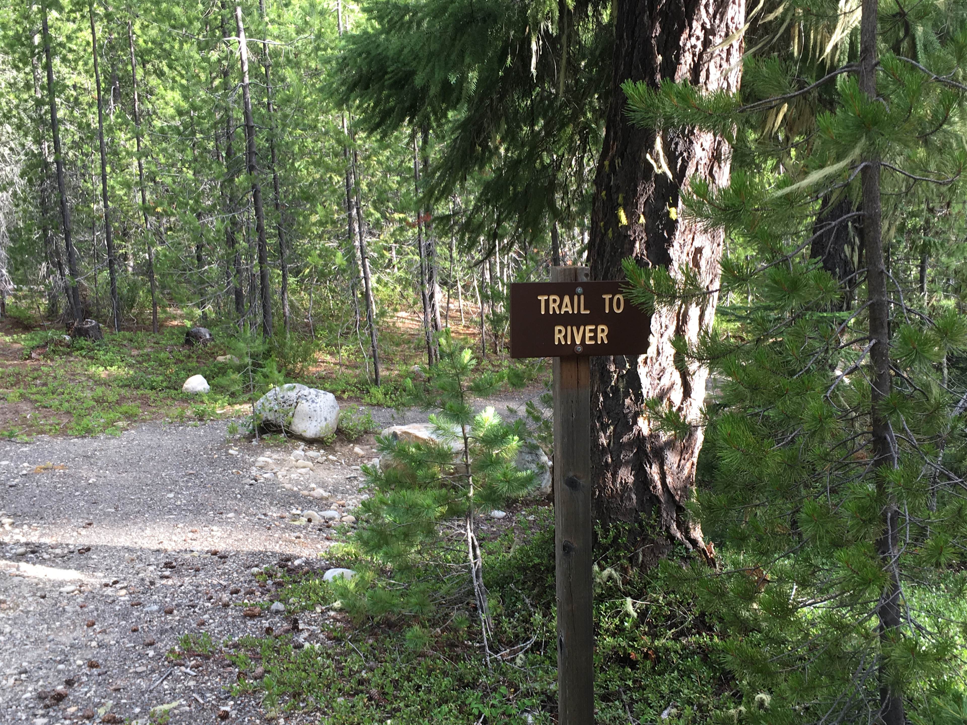 Short trail to the water.