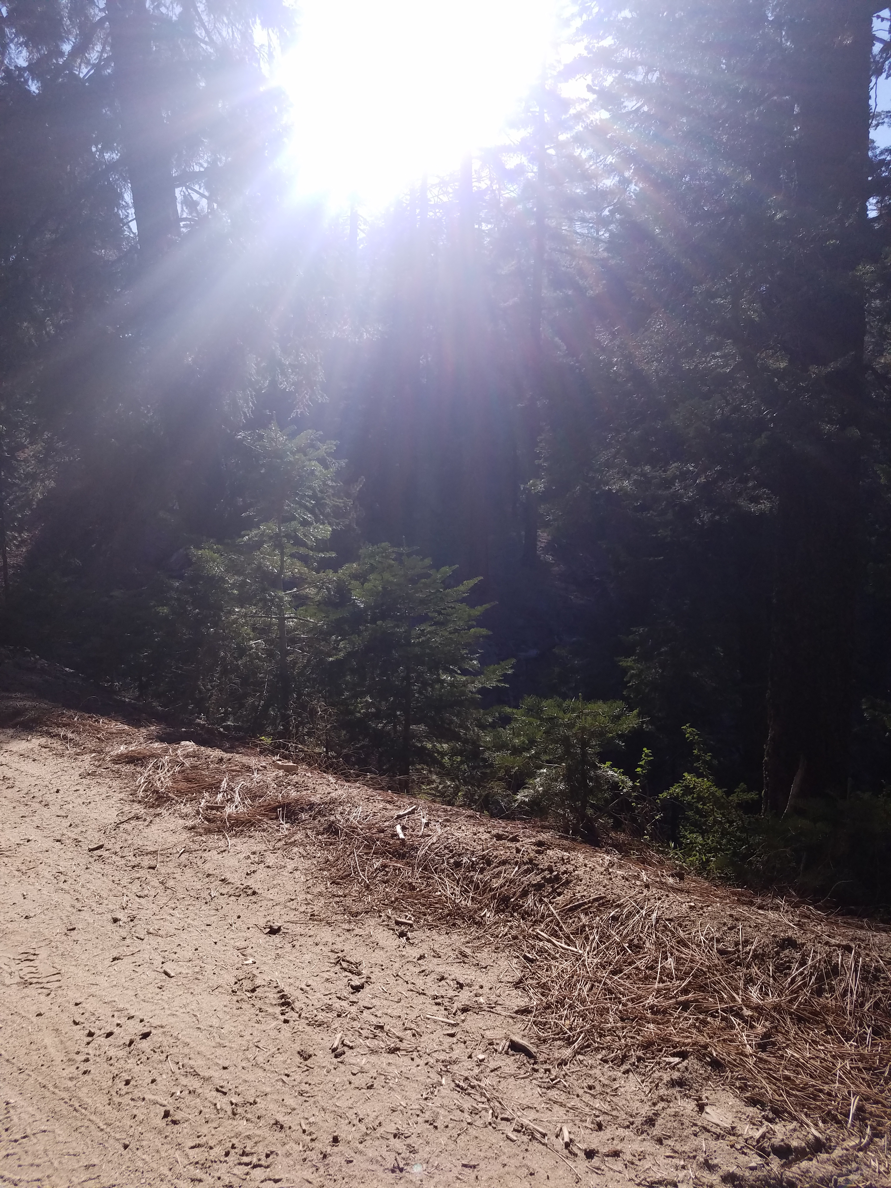 Breckenridge Campground