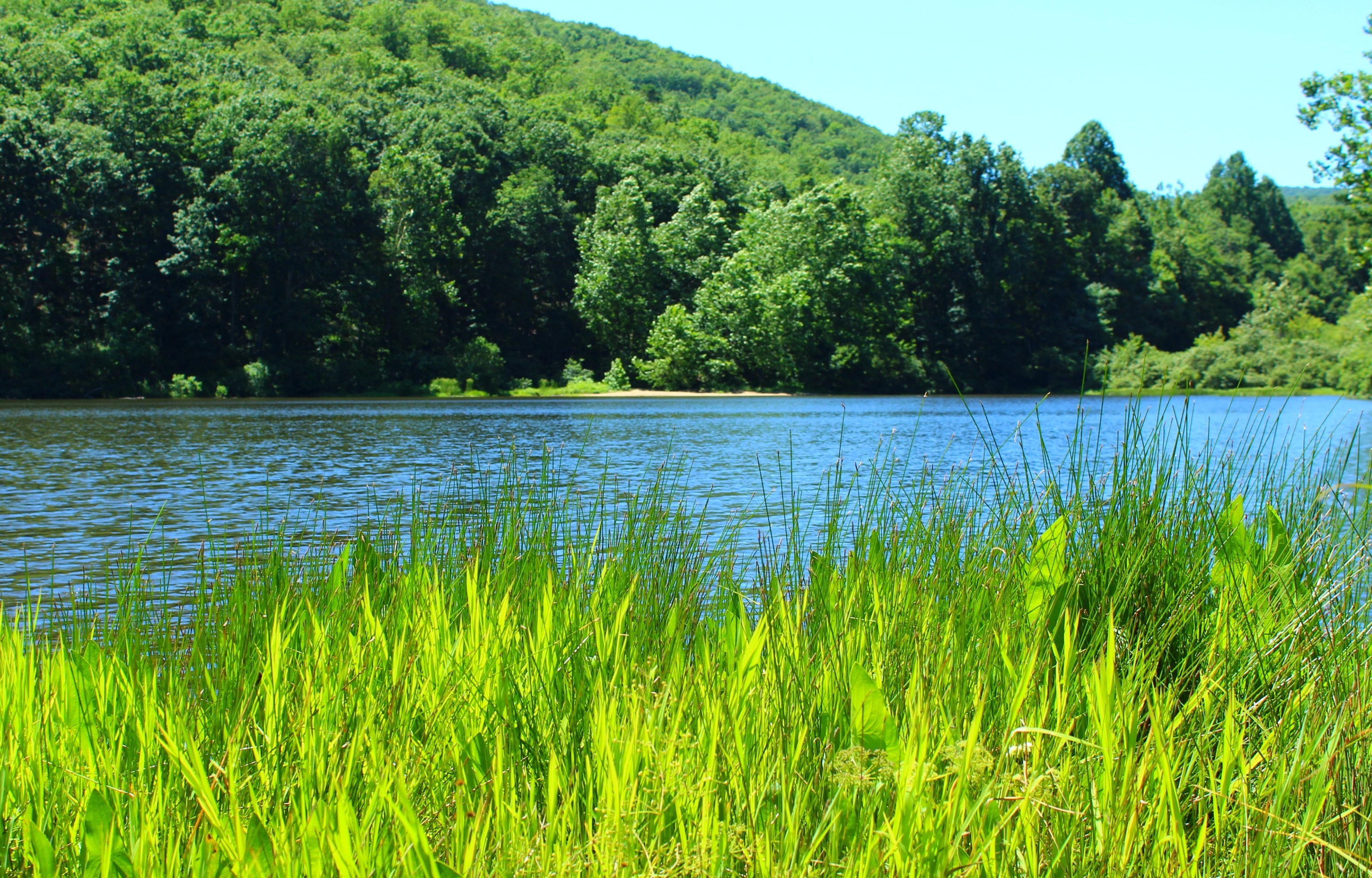 Sherando Lake Recreation Area and Campground