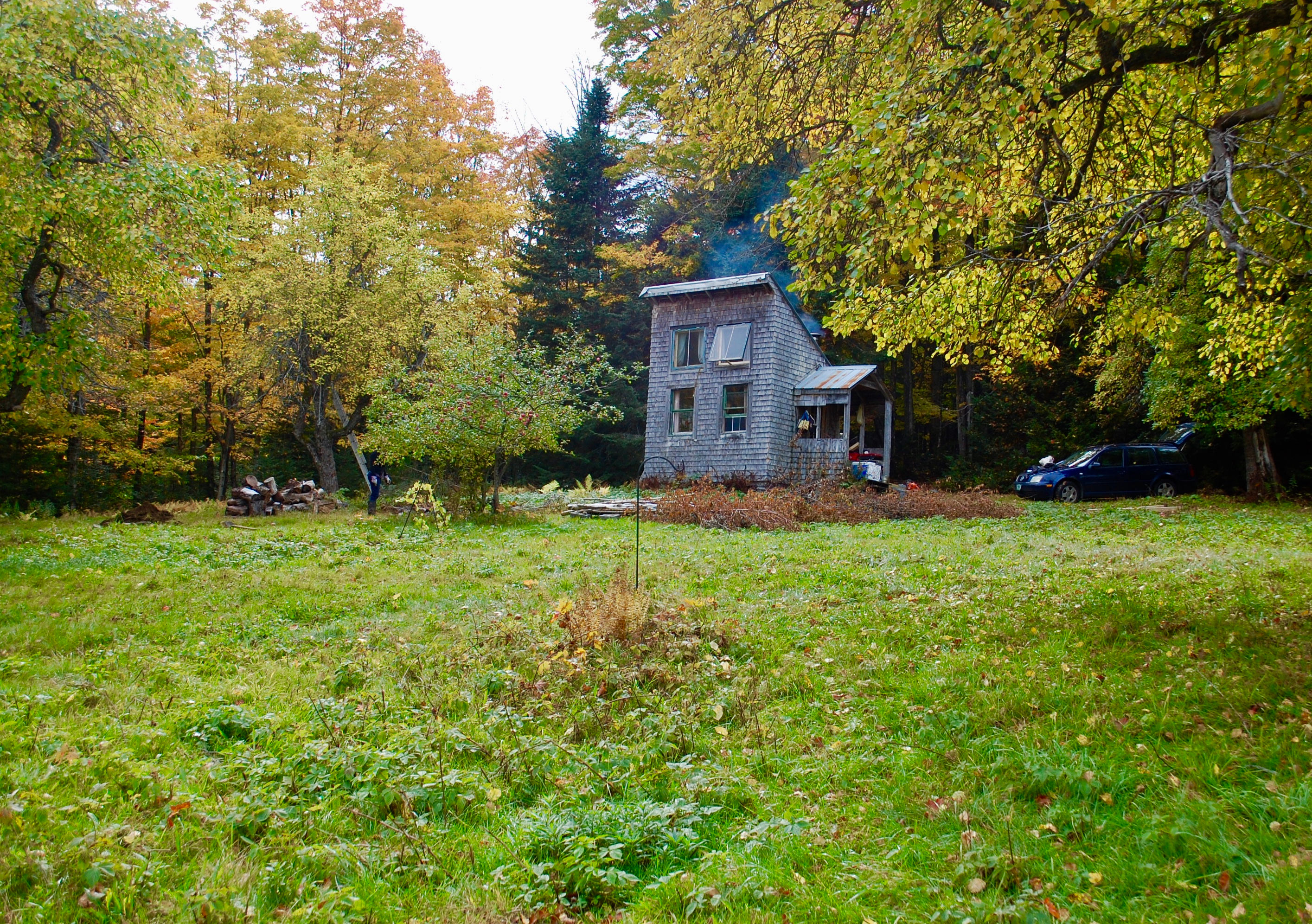 Westmore Forest Cabin
