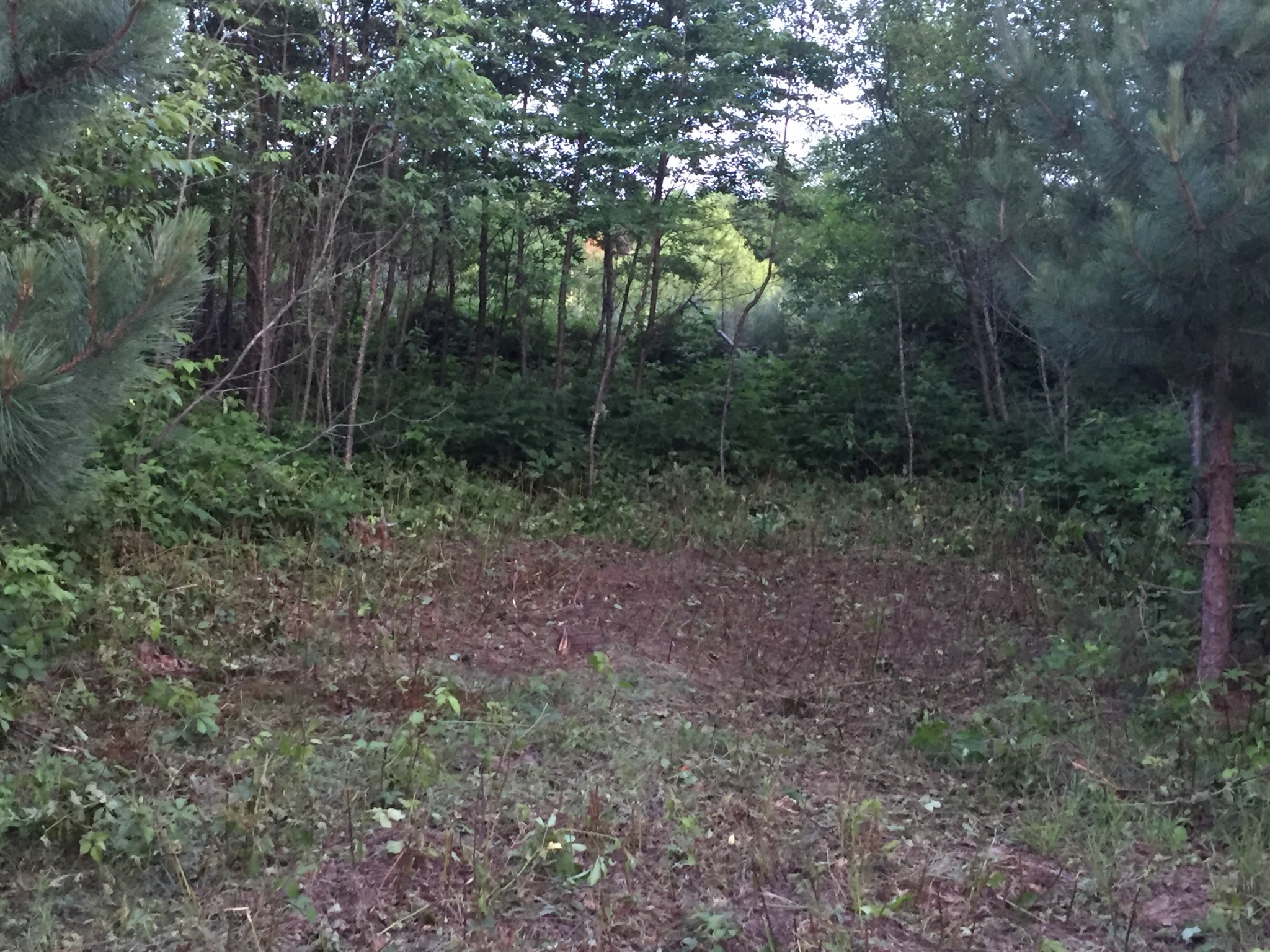Well Within Farm Sanctuary