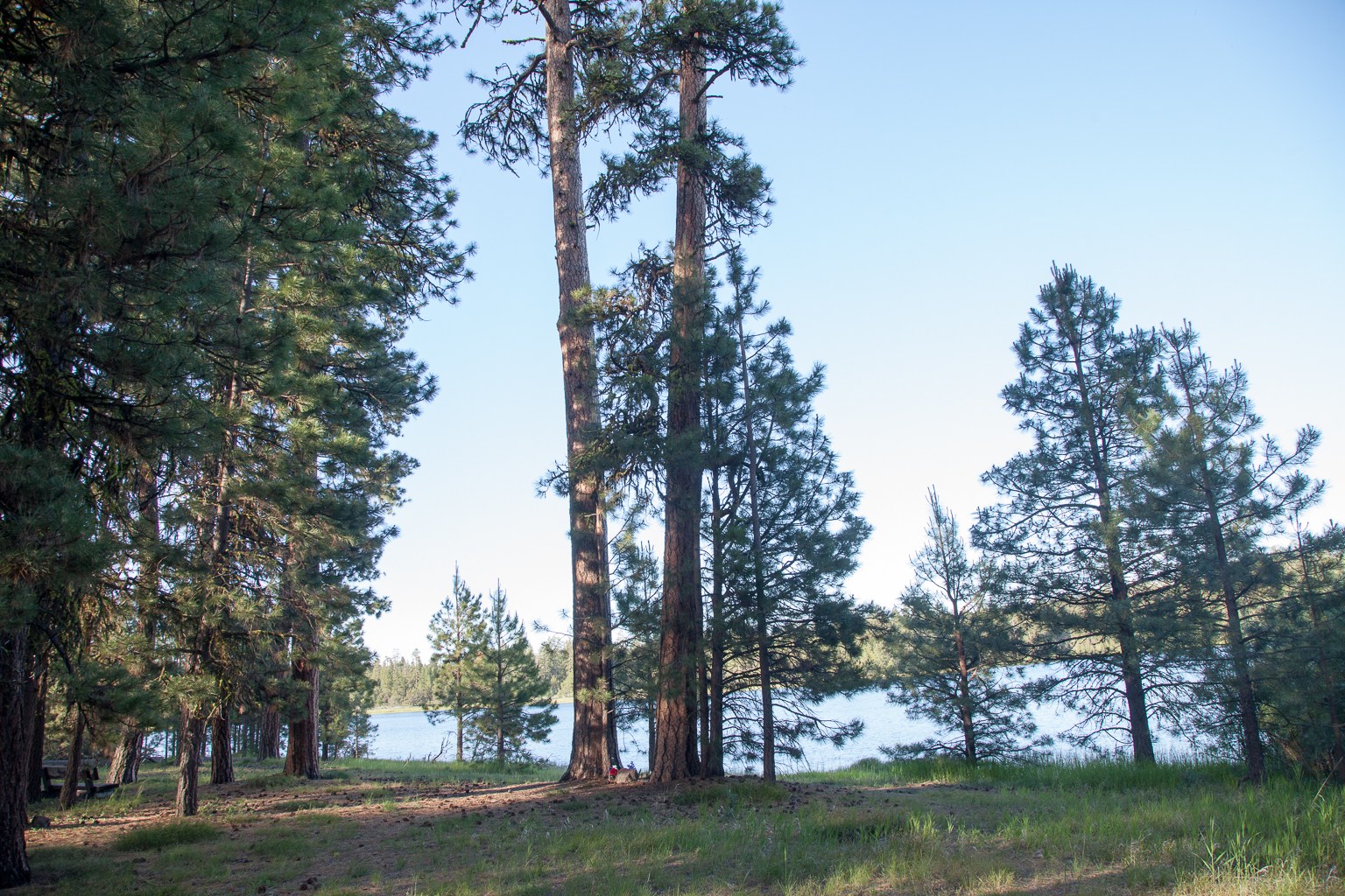 Delintment Lake Campground