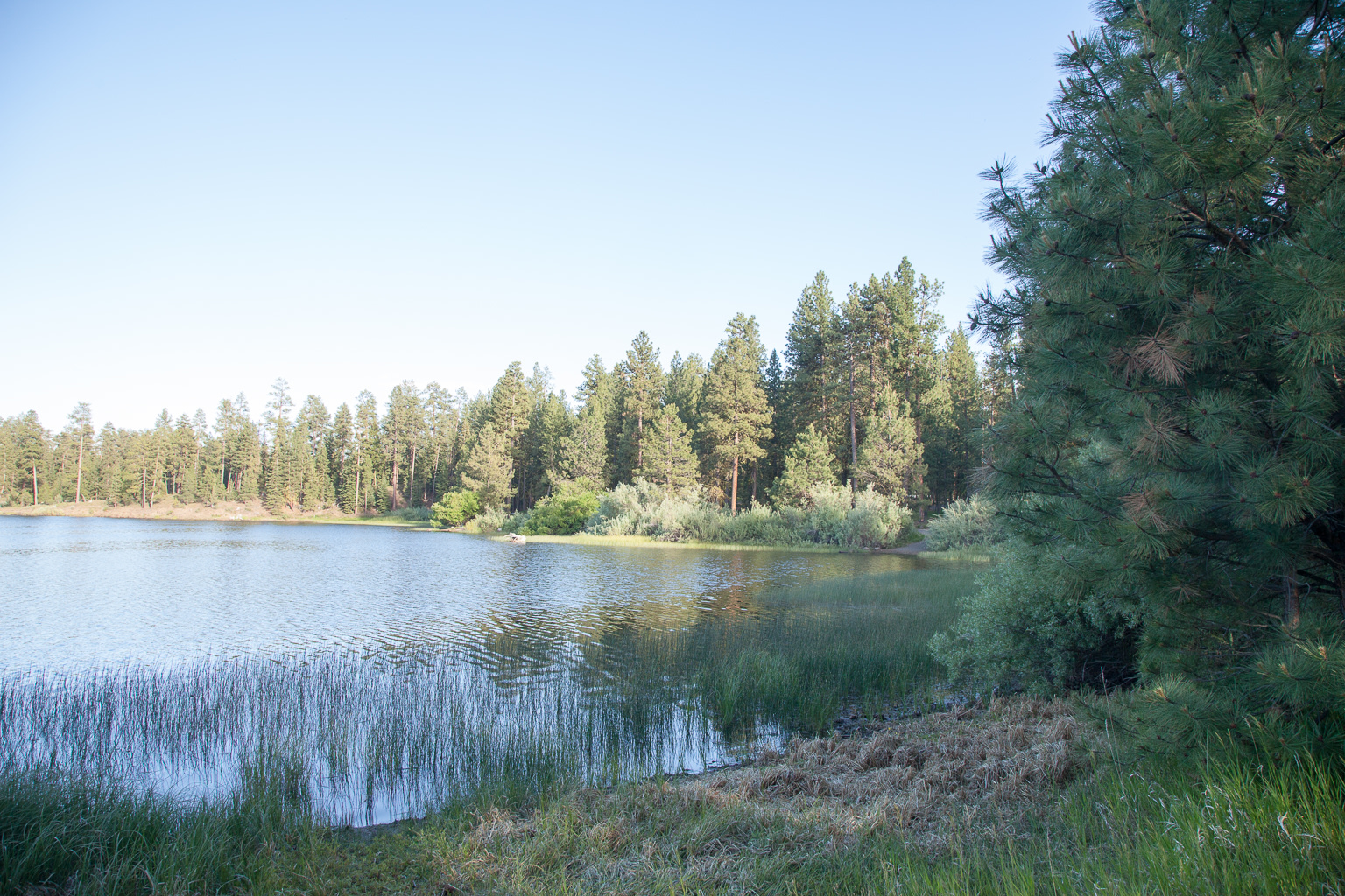 Malheur National Forest