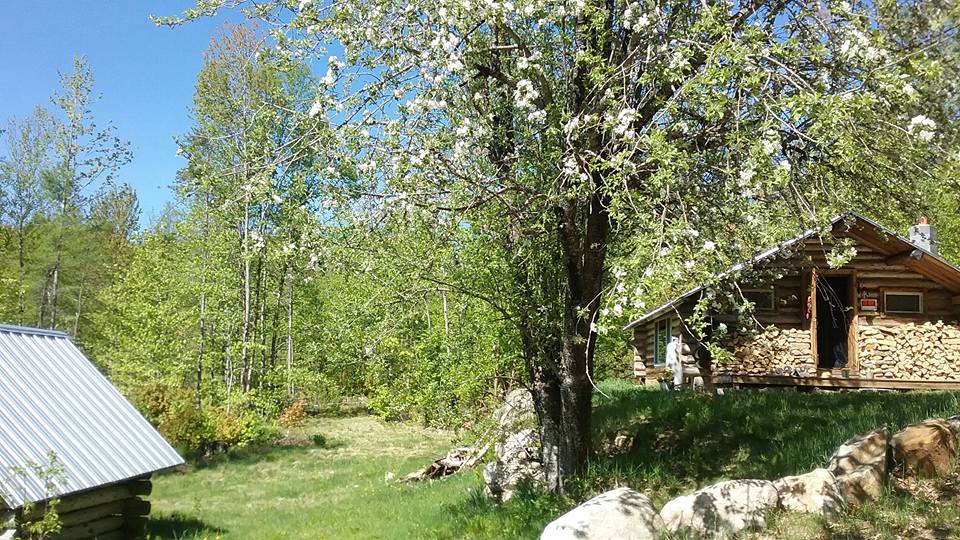 Colby's Cabin