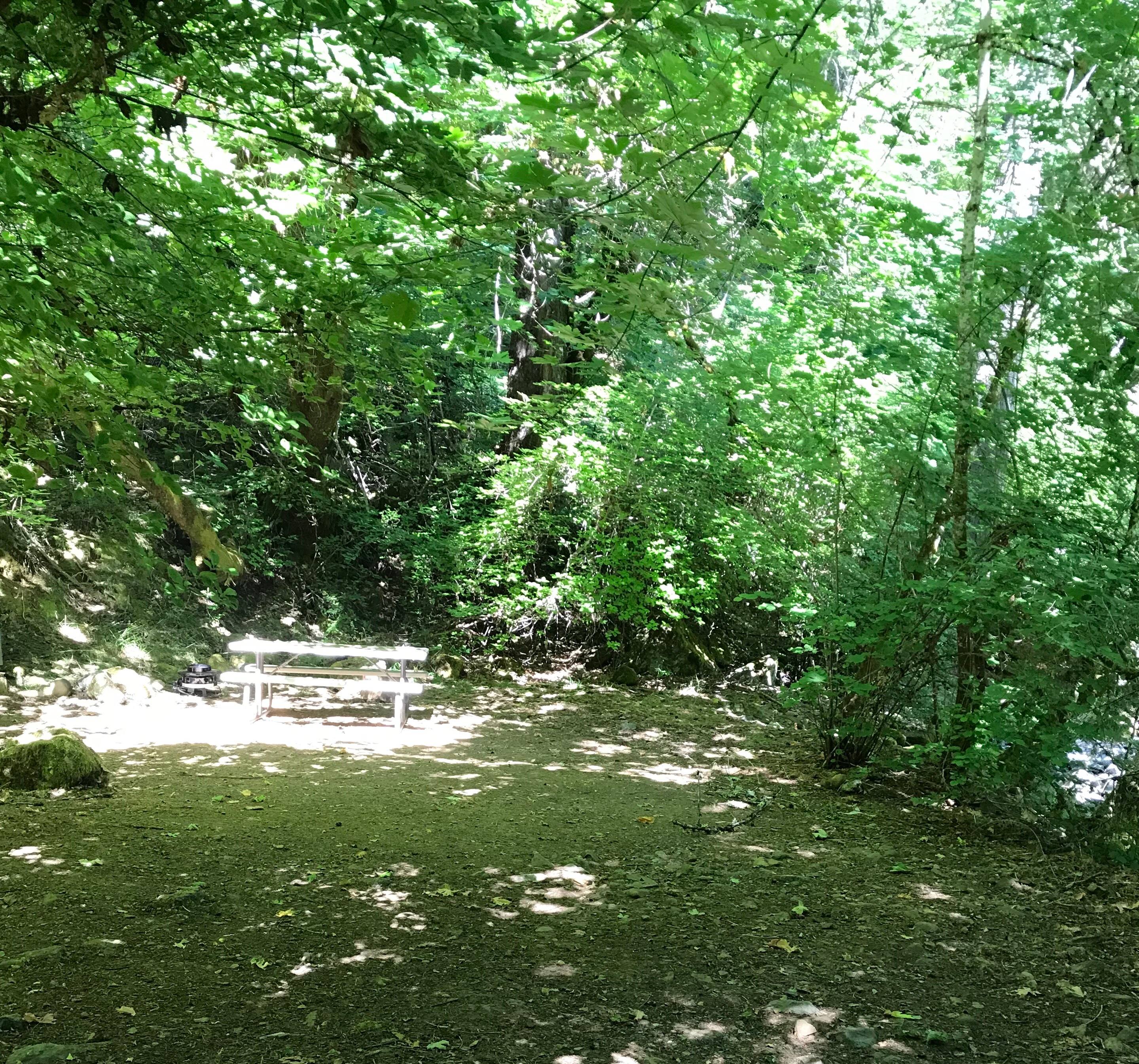 Camp Nauvoo