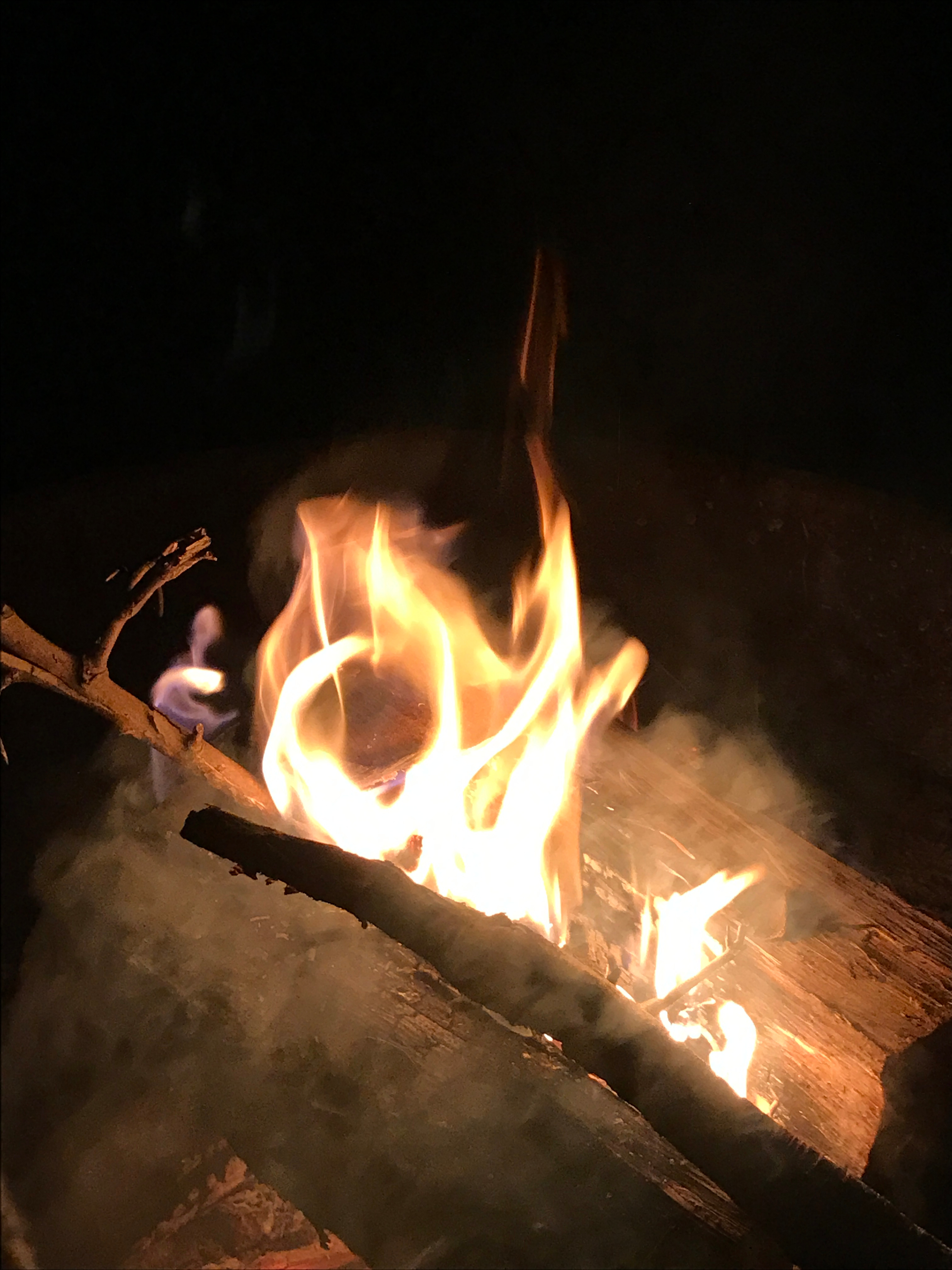 White-Tail Campground