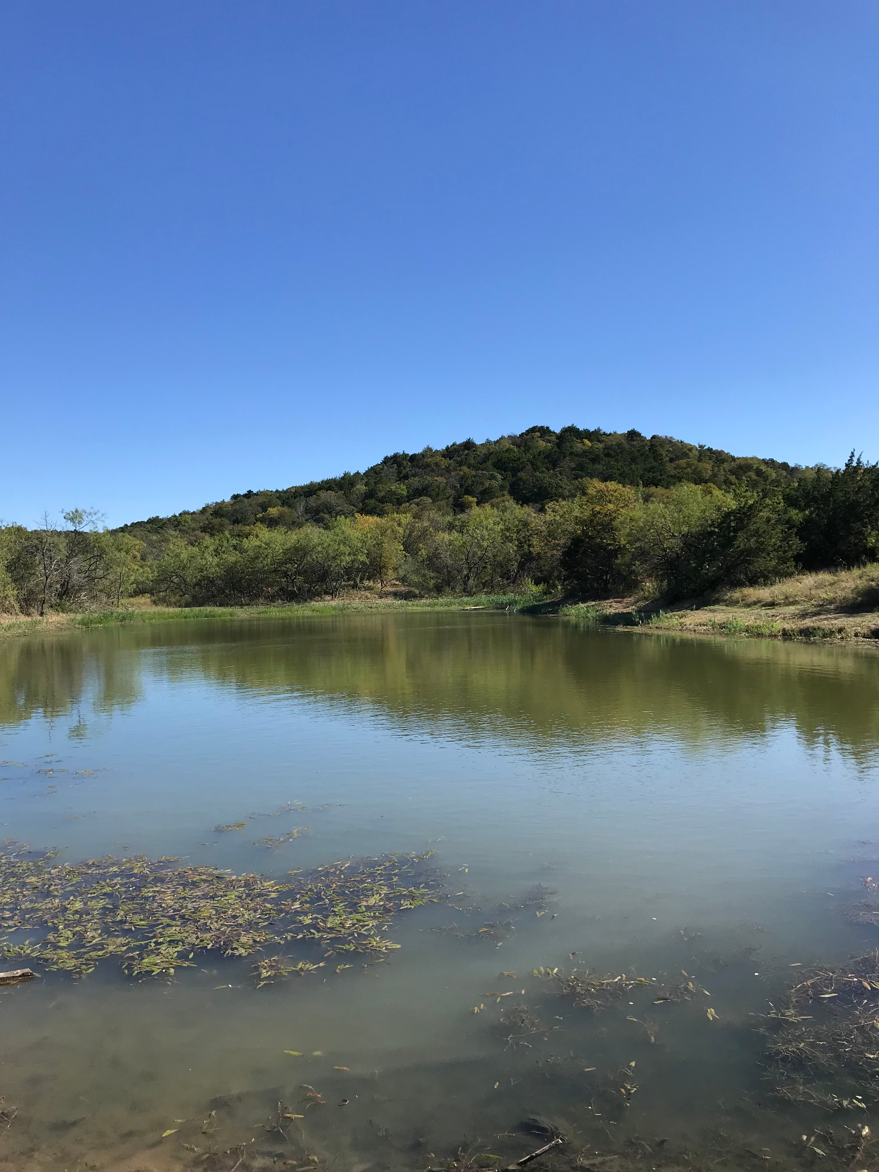 Lake Mineral Wells Primitive Campground