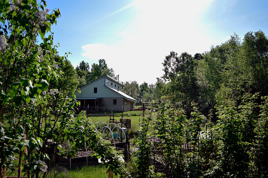 View from the garden