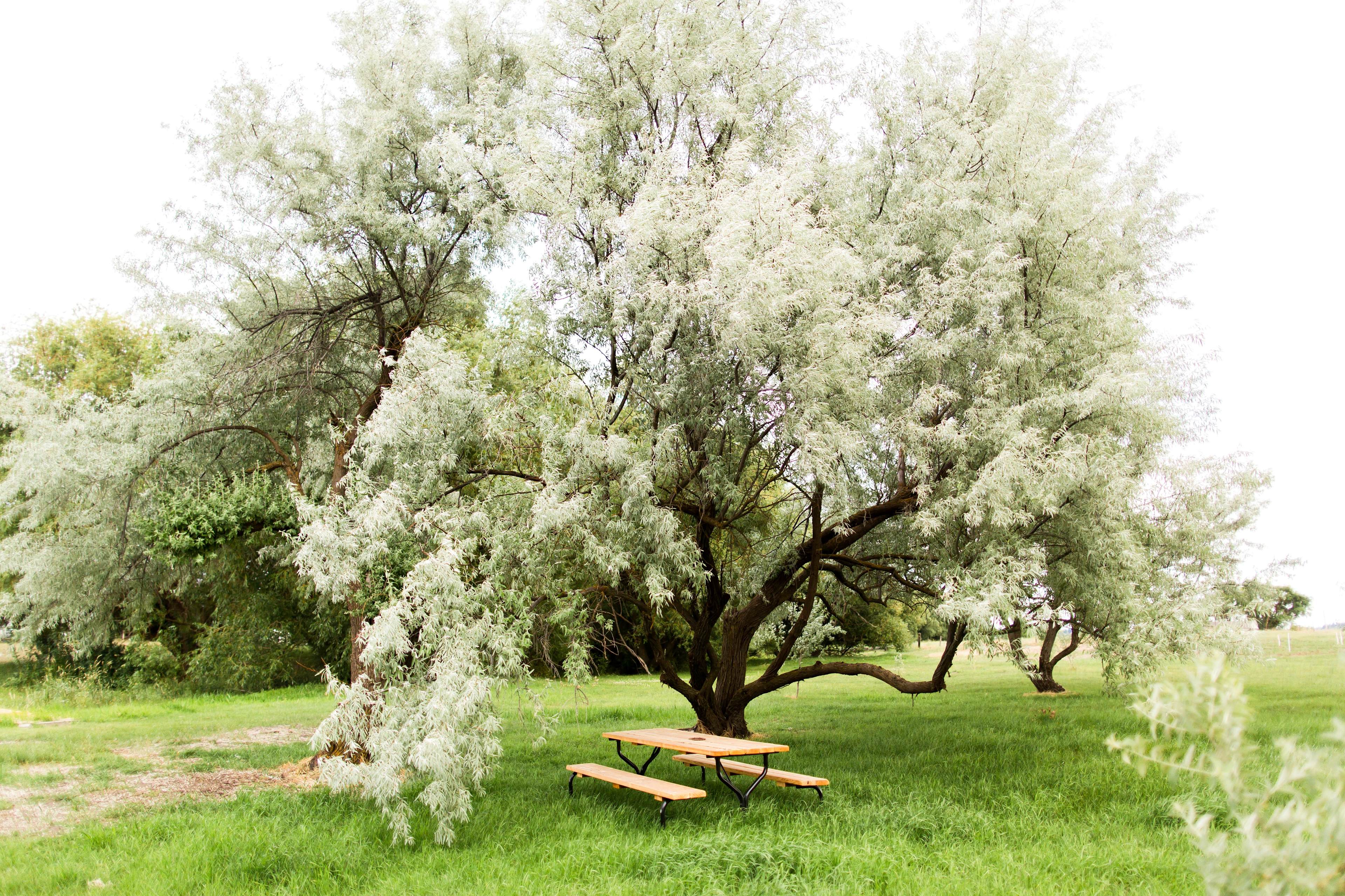 Willow Creek Retreat