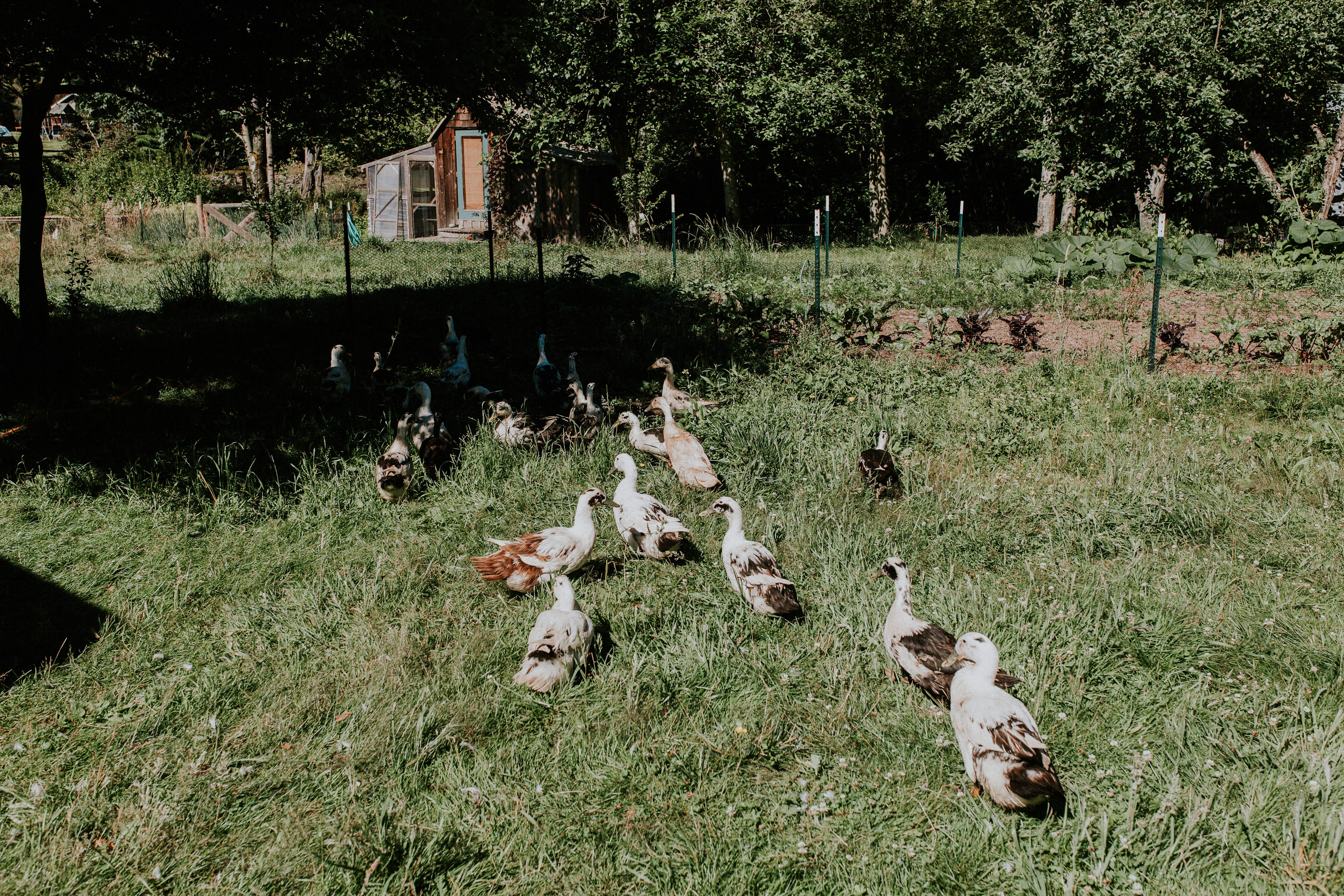 Hawthorn Farm