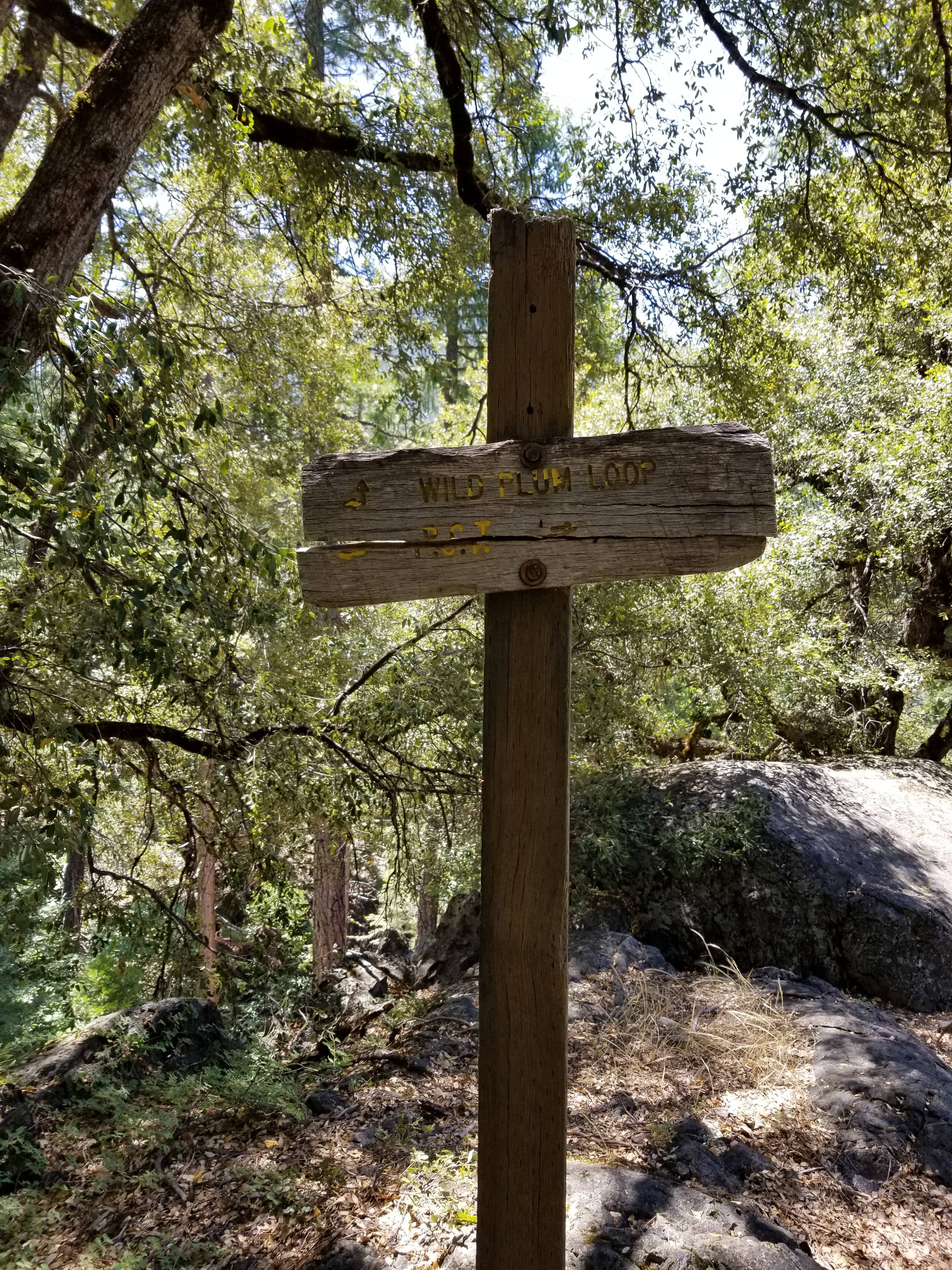 Wild Plum Loop trail will connect you  to the PCT