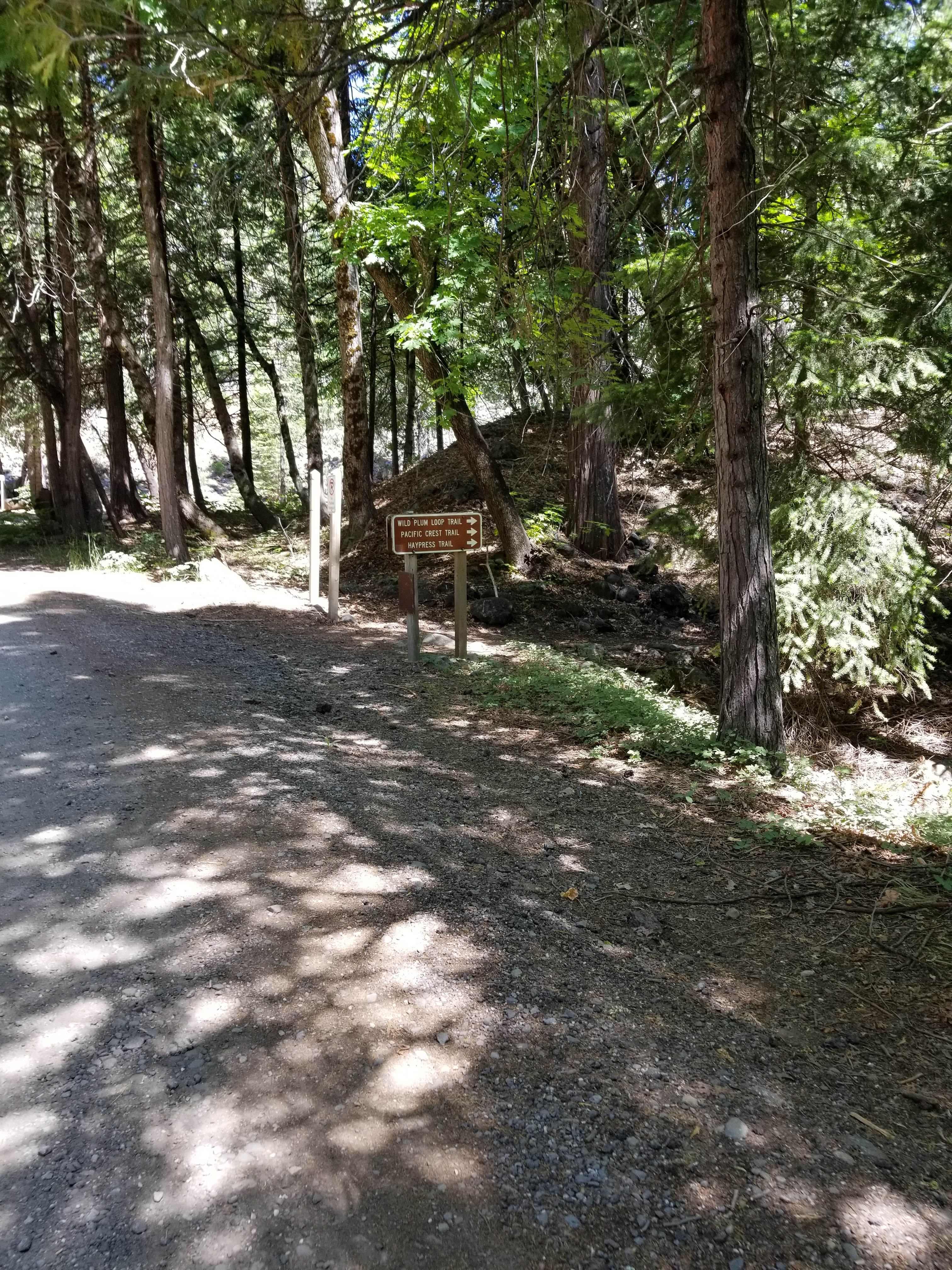 Hike out of the campground and up to the PCT