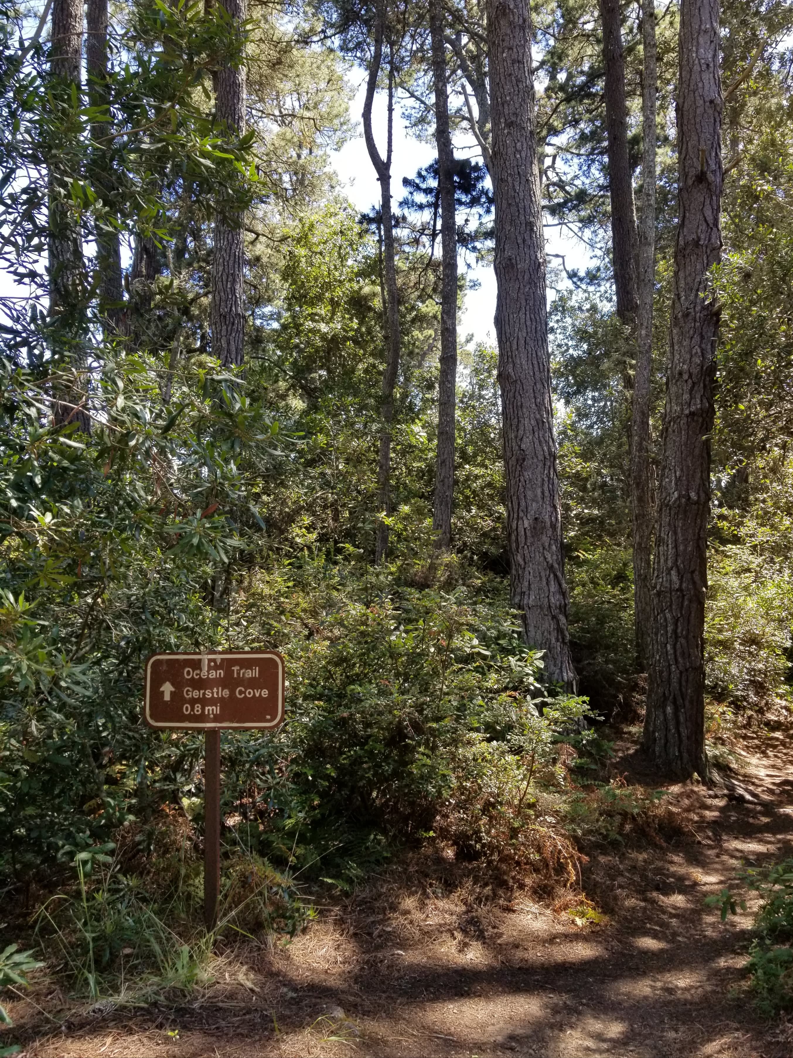 Trailhead at the campground, near site 34.