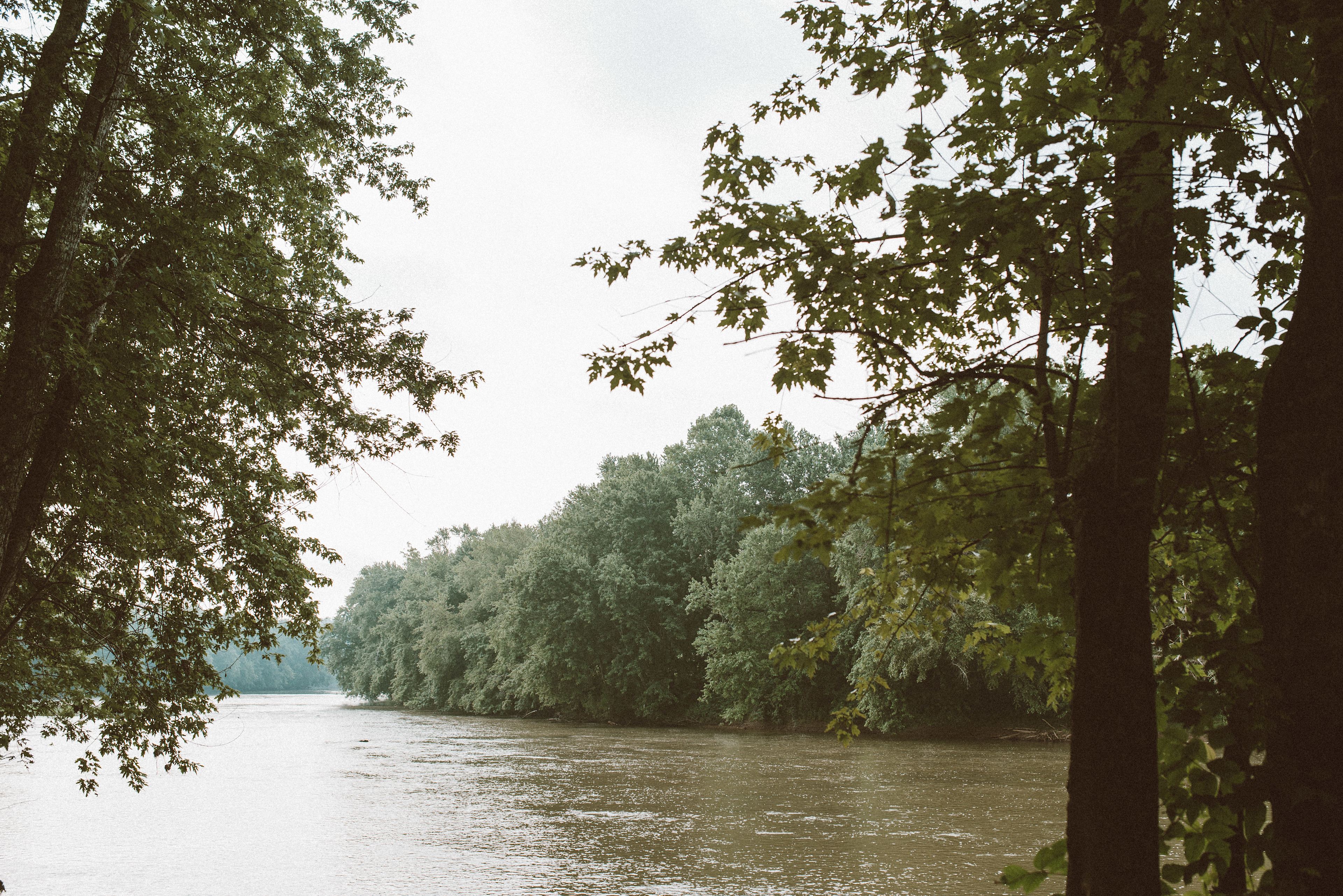 Views of the river from my site!