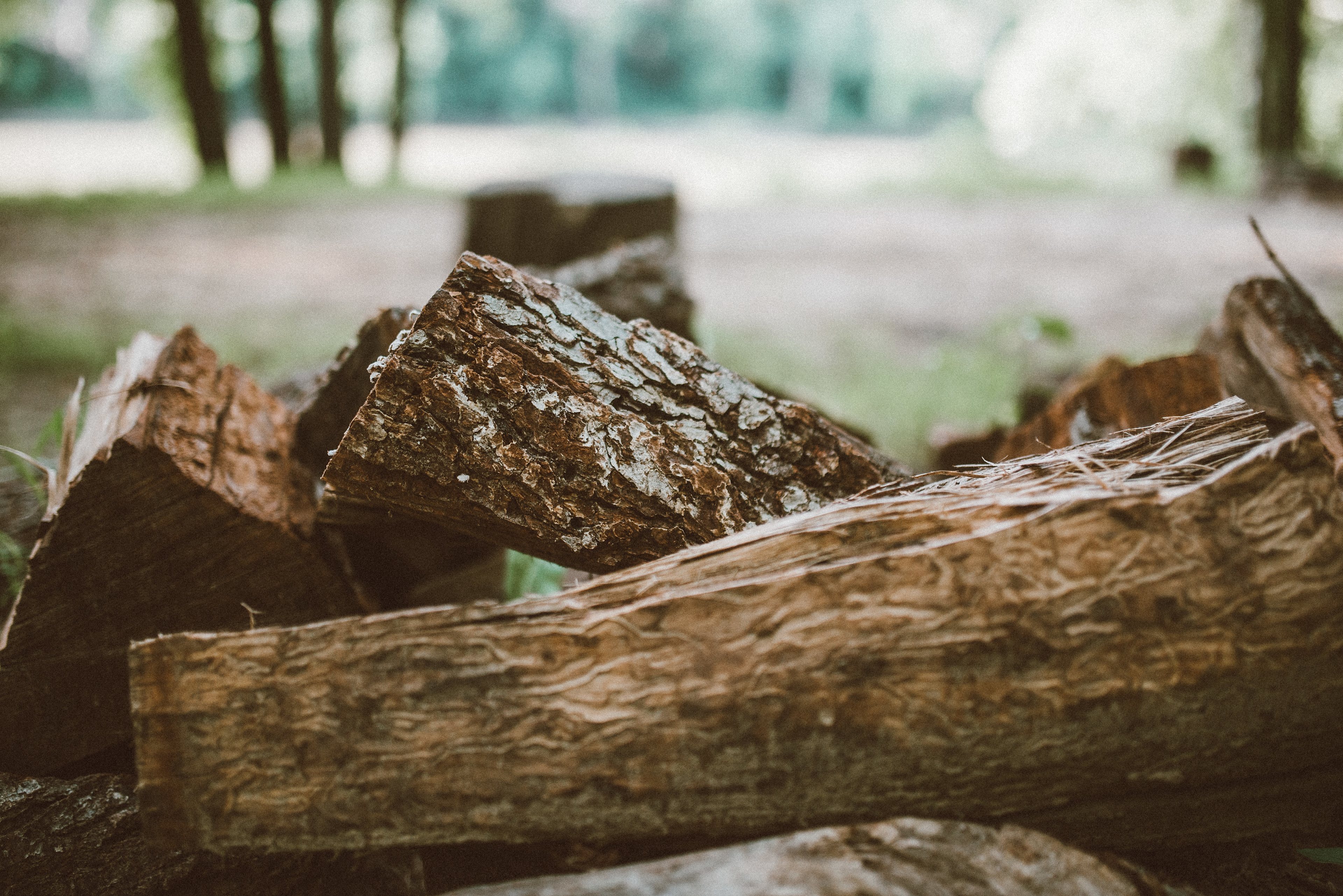 Plenty of firewood around.