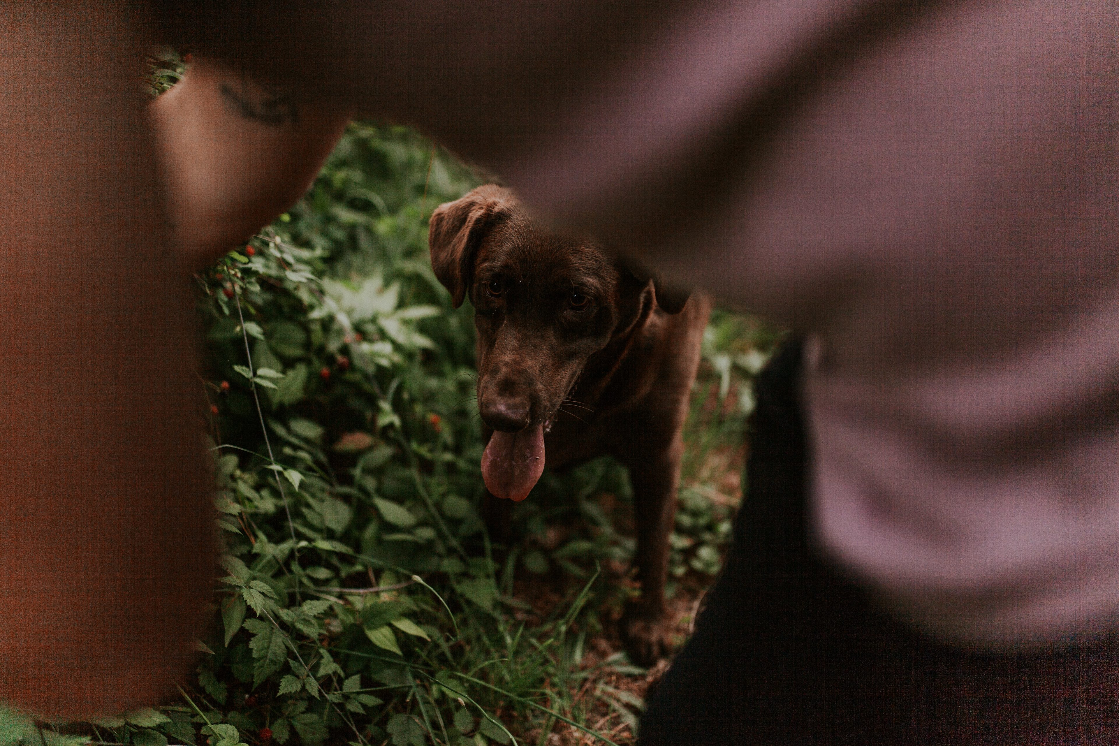 Healing Hearts Ranch