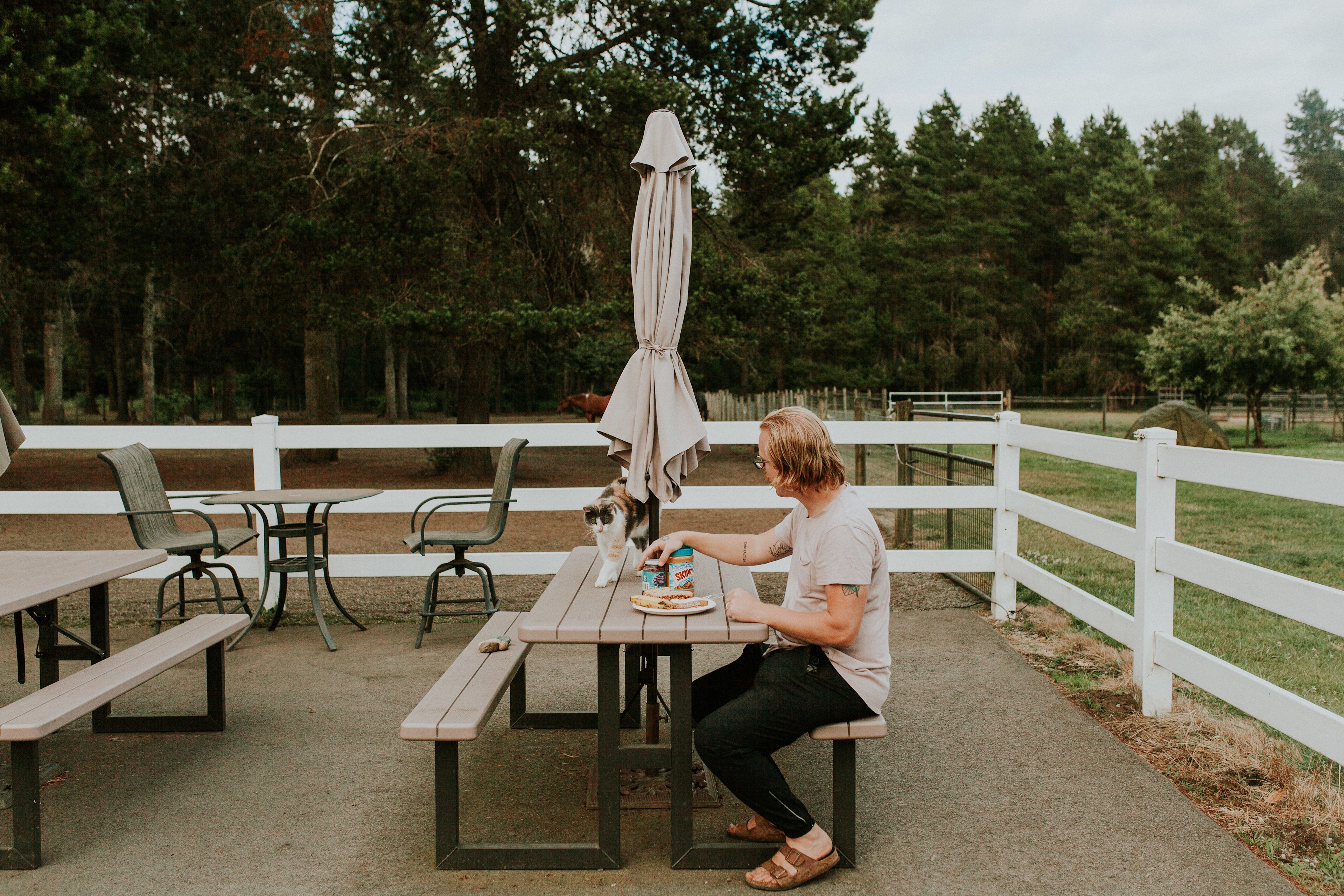 Healing Hearts Ranch