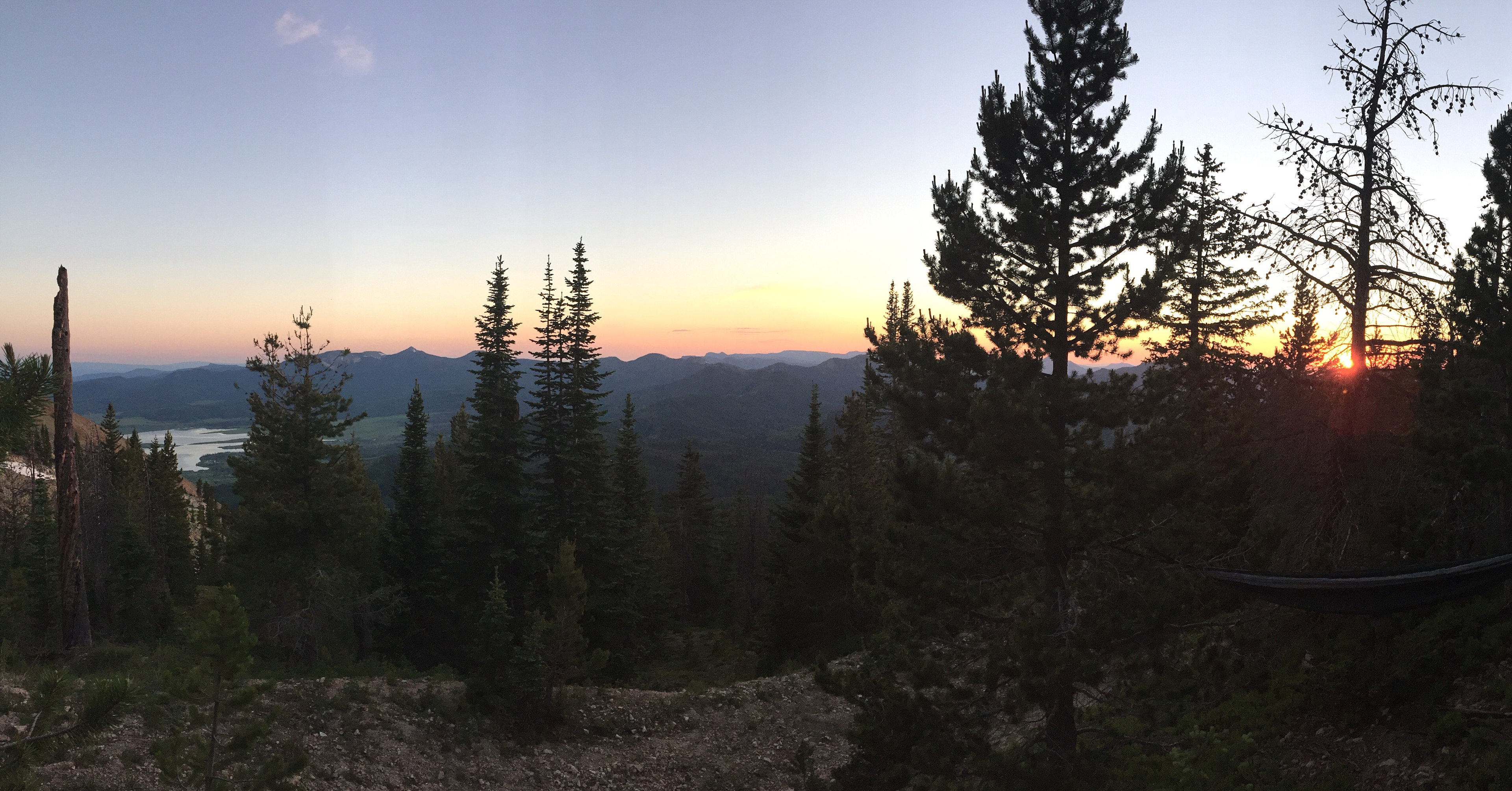 Routt National Forest