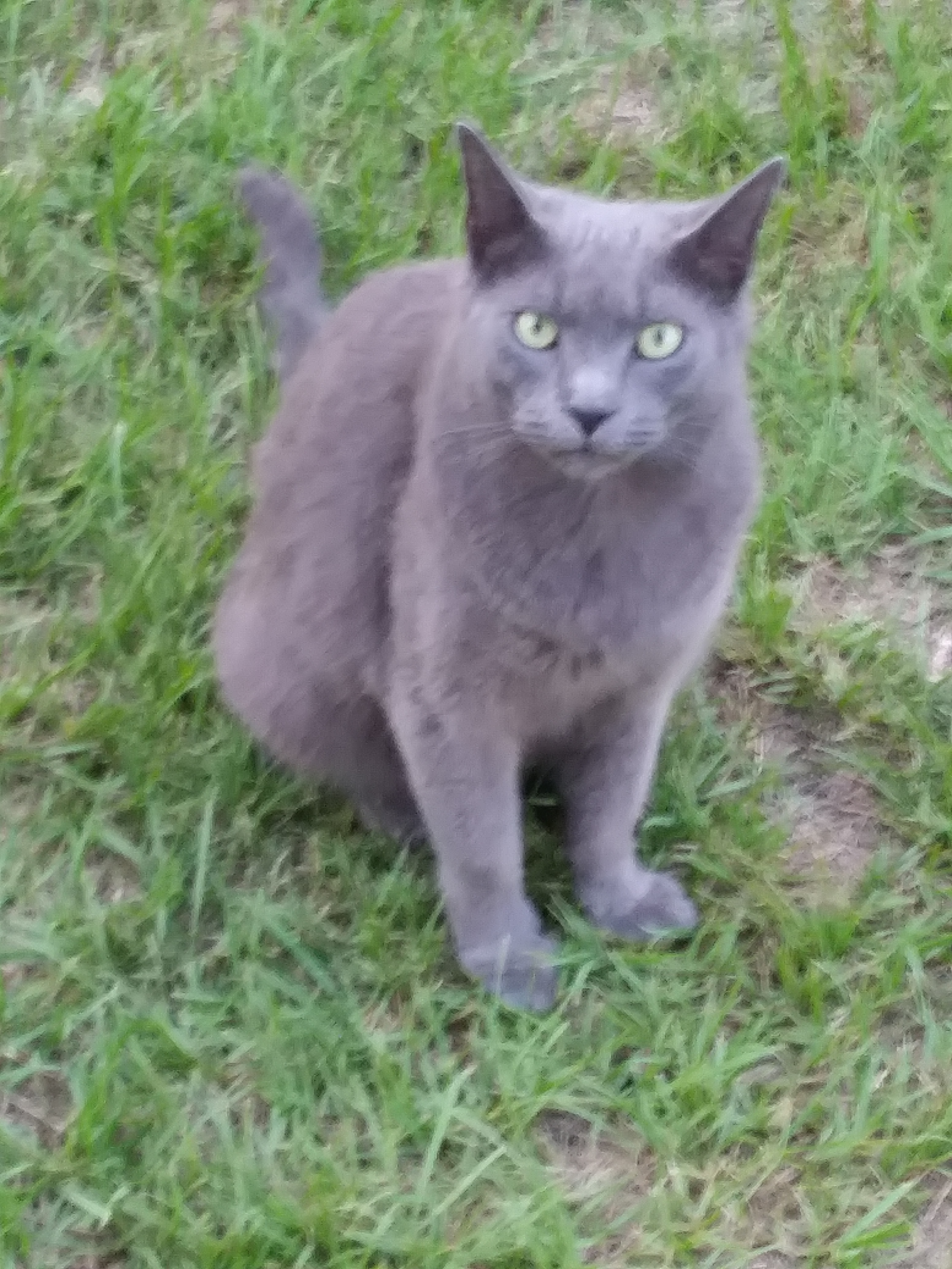 Double L Farms RV Park, LLC