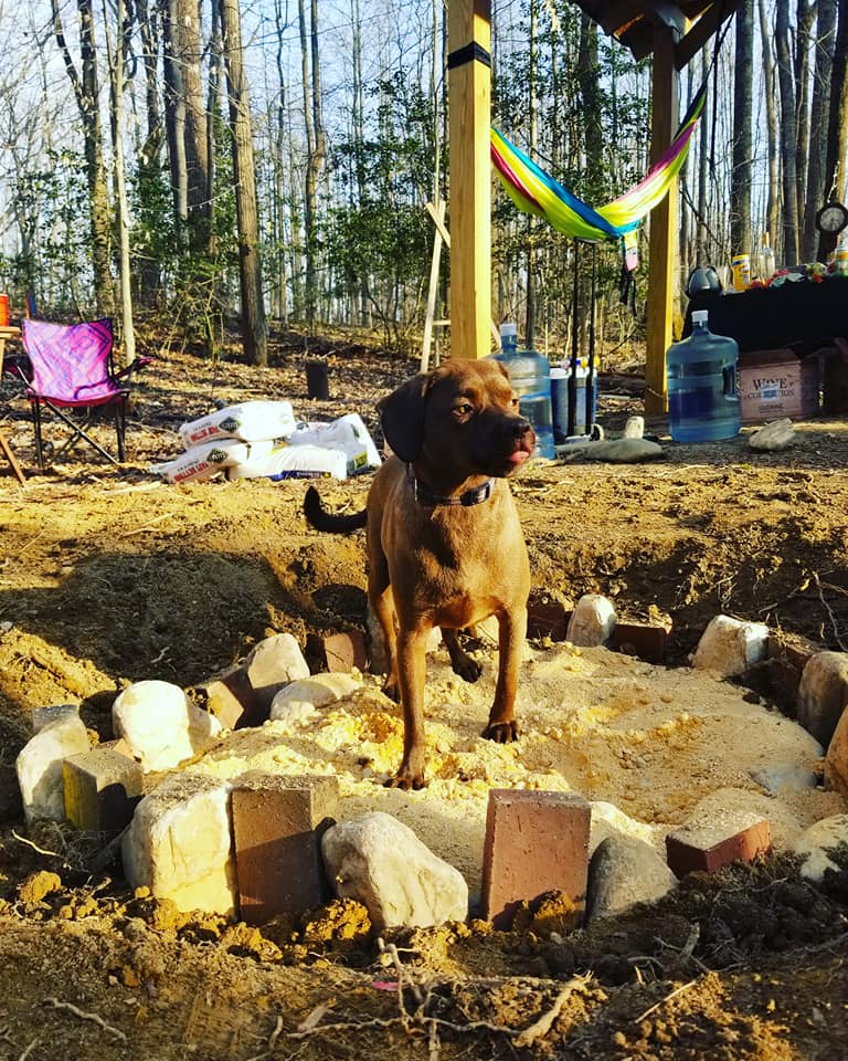 Napperville (Campsite 5)