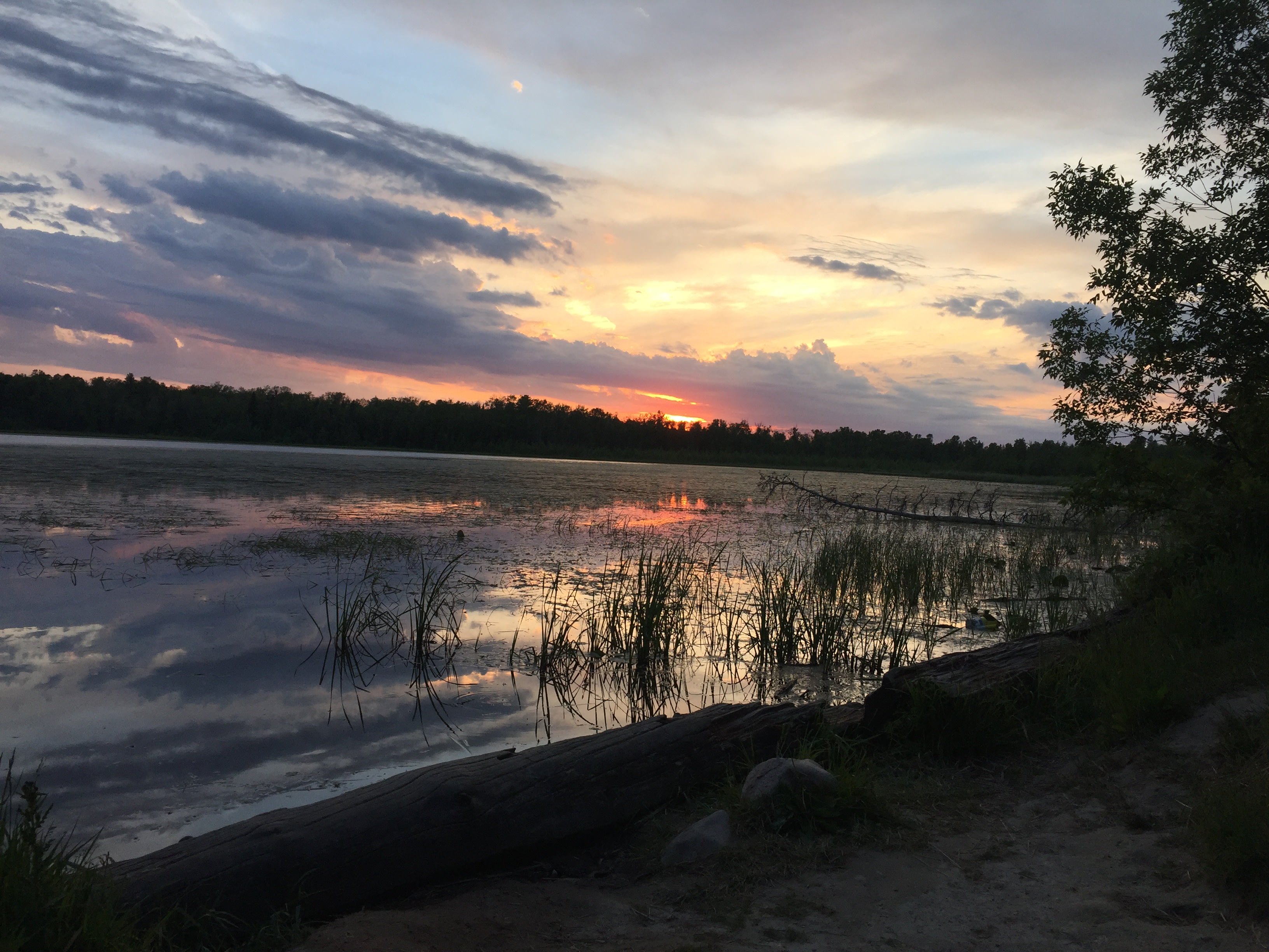 Short walk from our tent