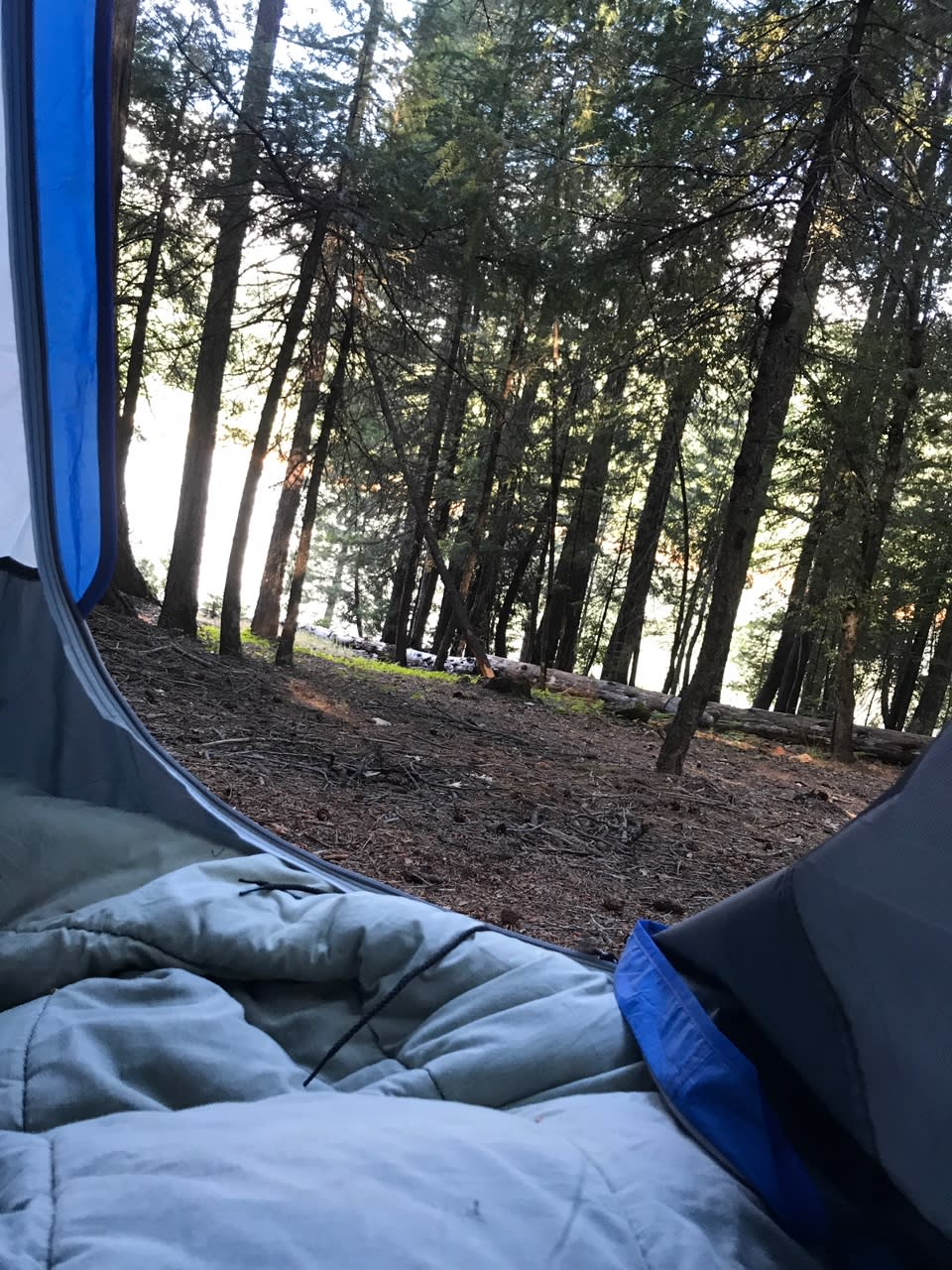 Trinity River Campground