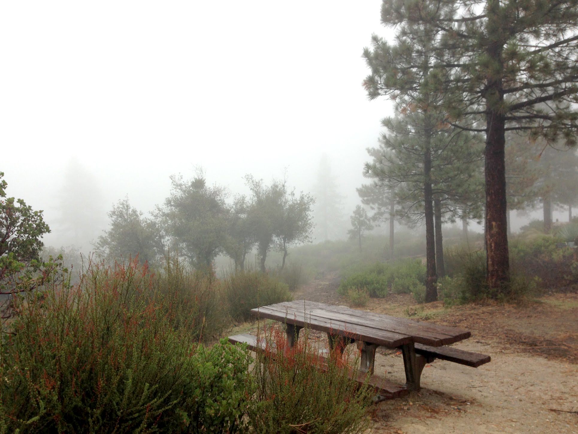 Woke up to an empty, mist filled campground after it rained hard all night. Pretty fun actually.