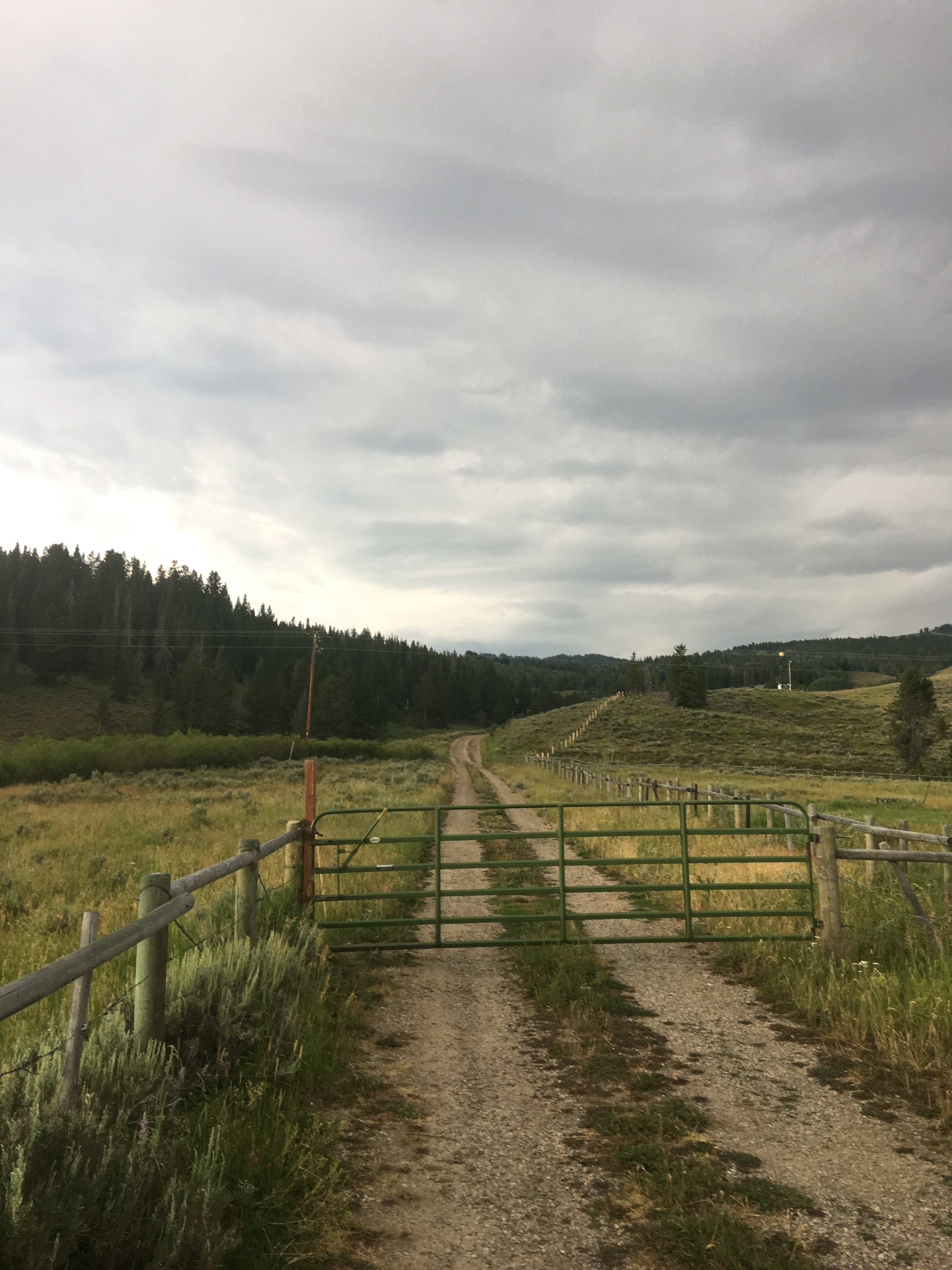 Teton National Forest