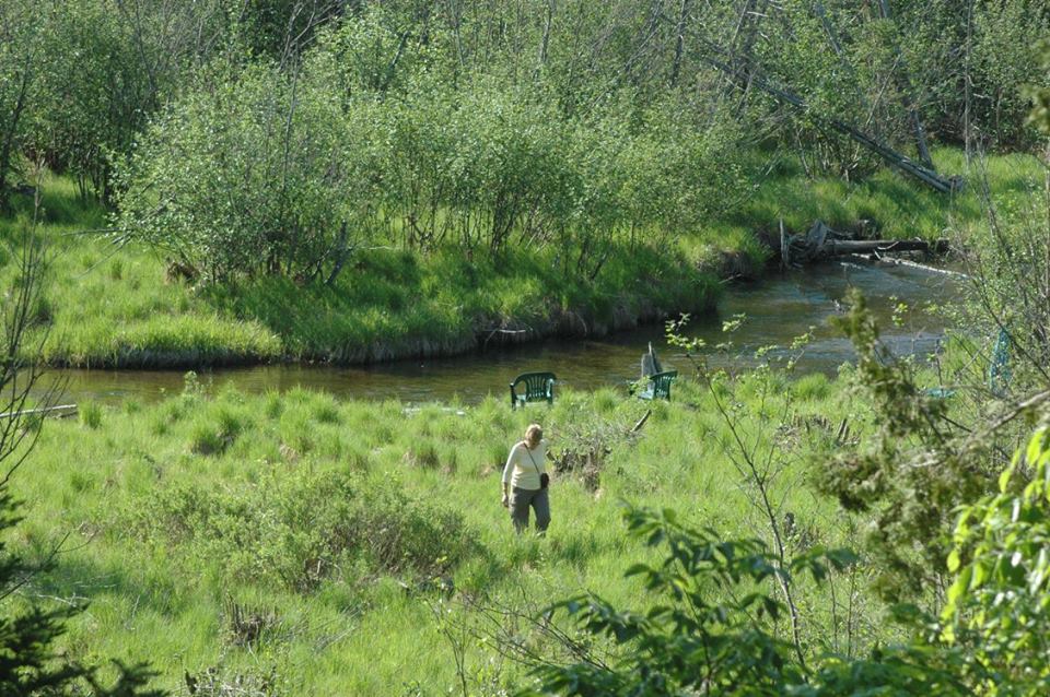 Take a walk down to the river's edge to watch for wildlife.  Look for deer, bald eagles, great blue heron, cedar wax wings, hawks, frogs and much more! 