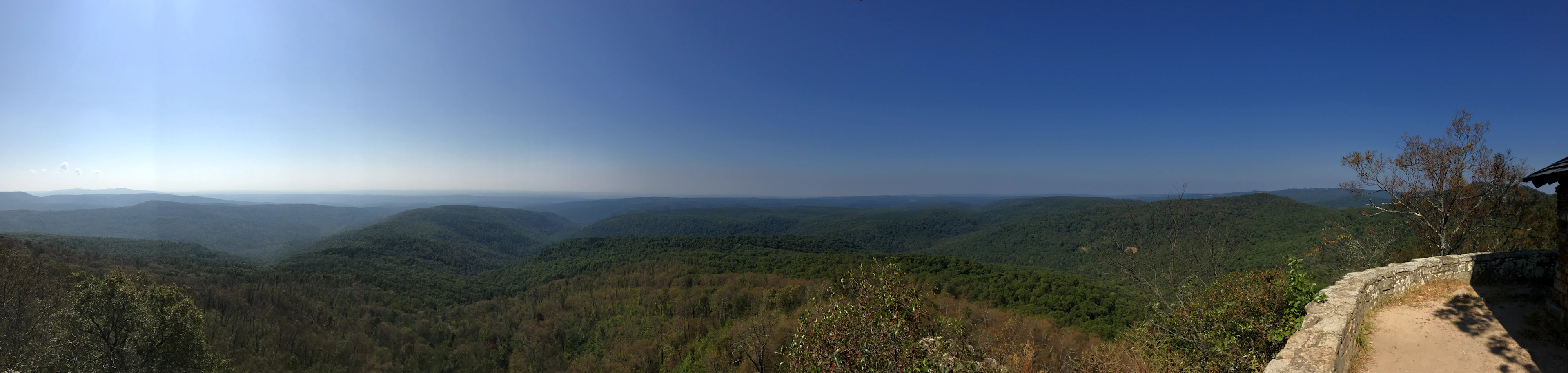 Ozark-St. Francis National Forests