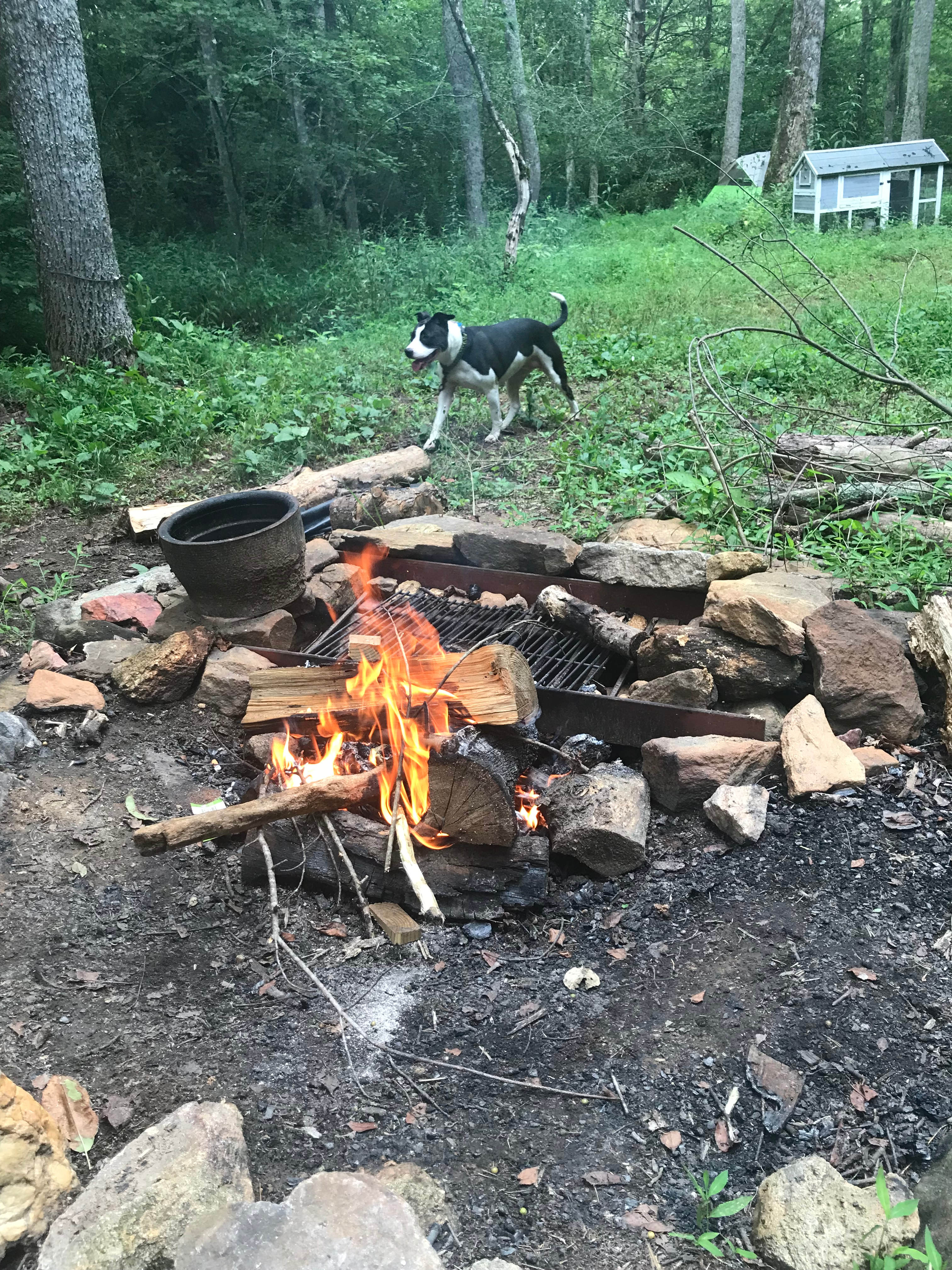 Our Stella Bella had such a great time. 