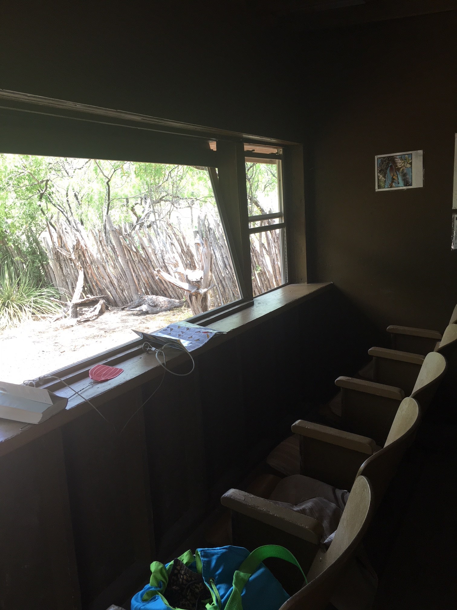 One of several bird blinds to go and watch the birds. The two we visited had water features to attract the birds and there was always activity. Really great!