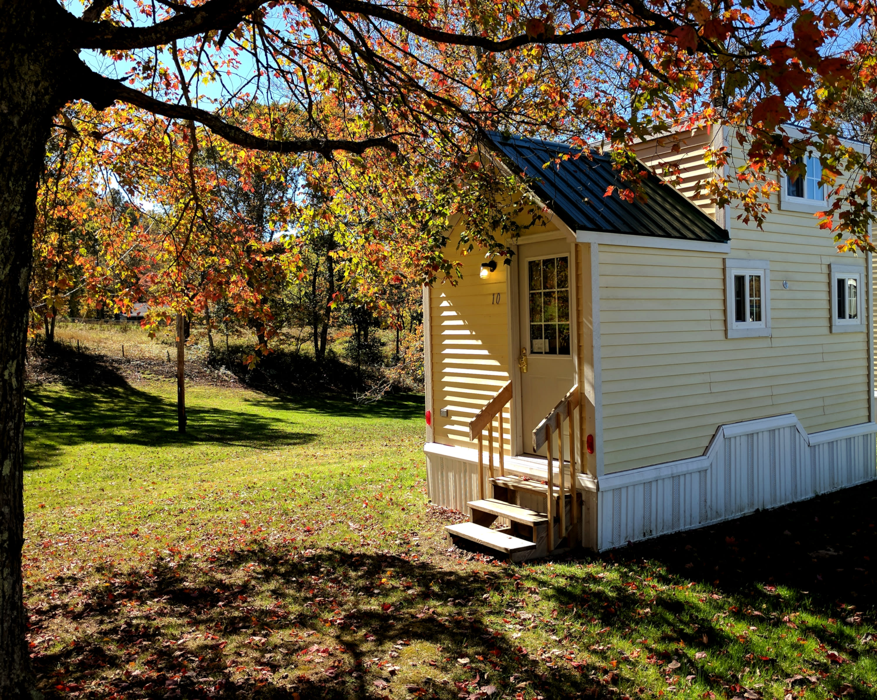 Welcome to Tiny Cabin #10.