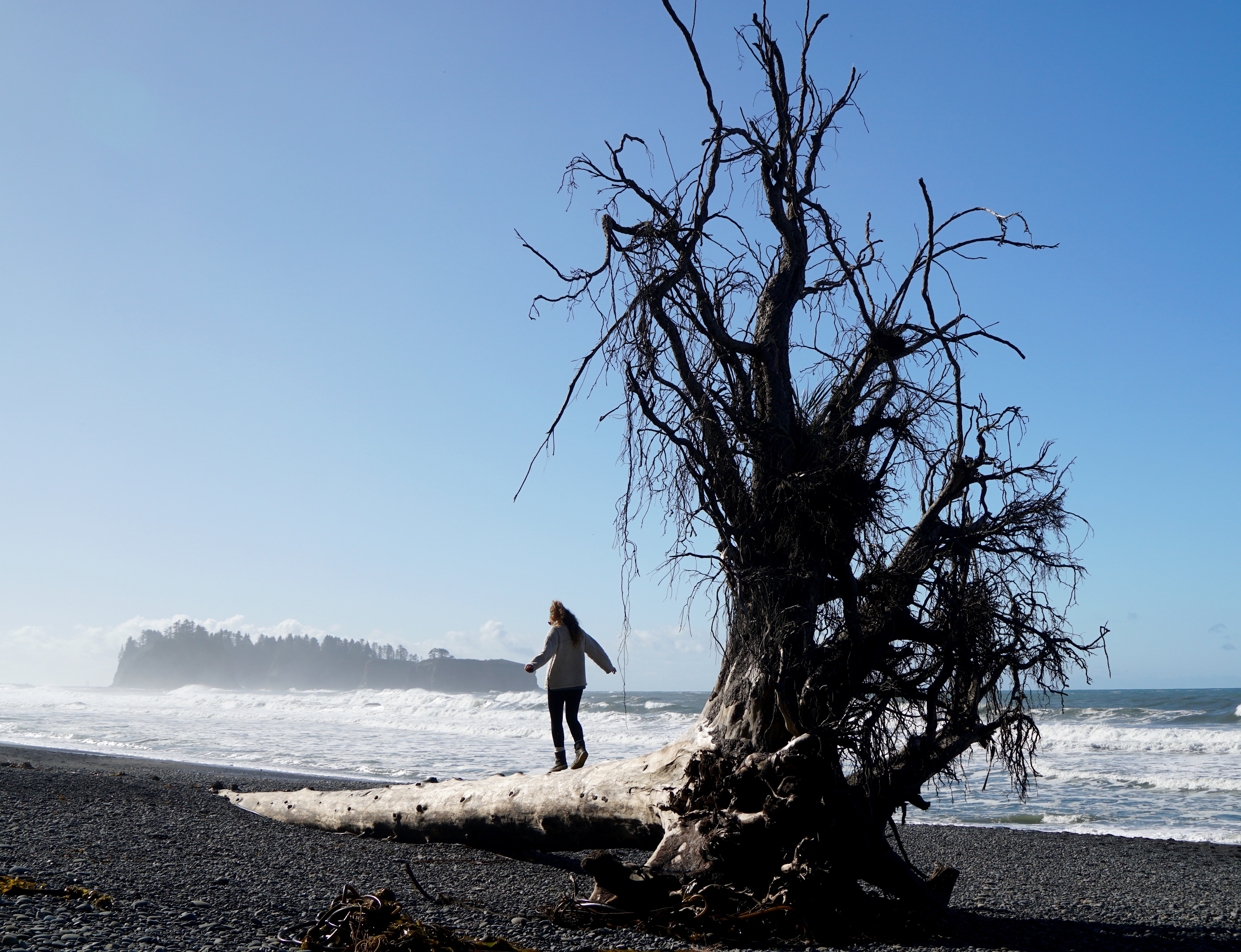 Exploring Rialto Beach, 2 miles from Mora Campground