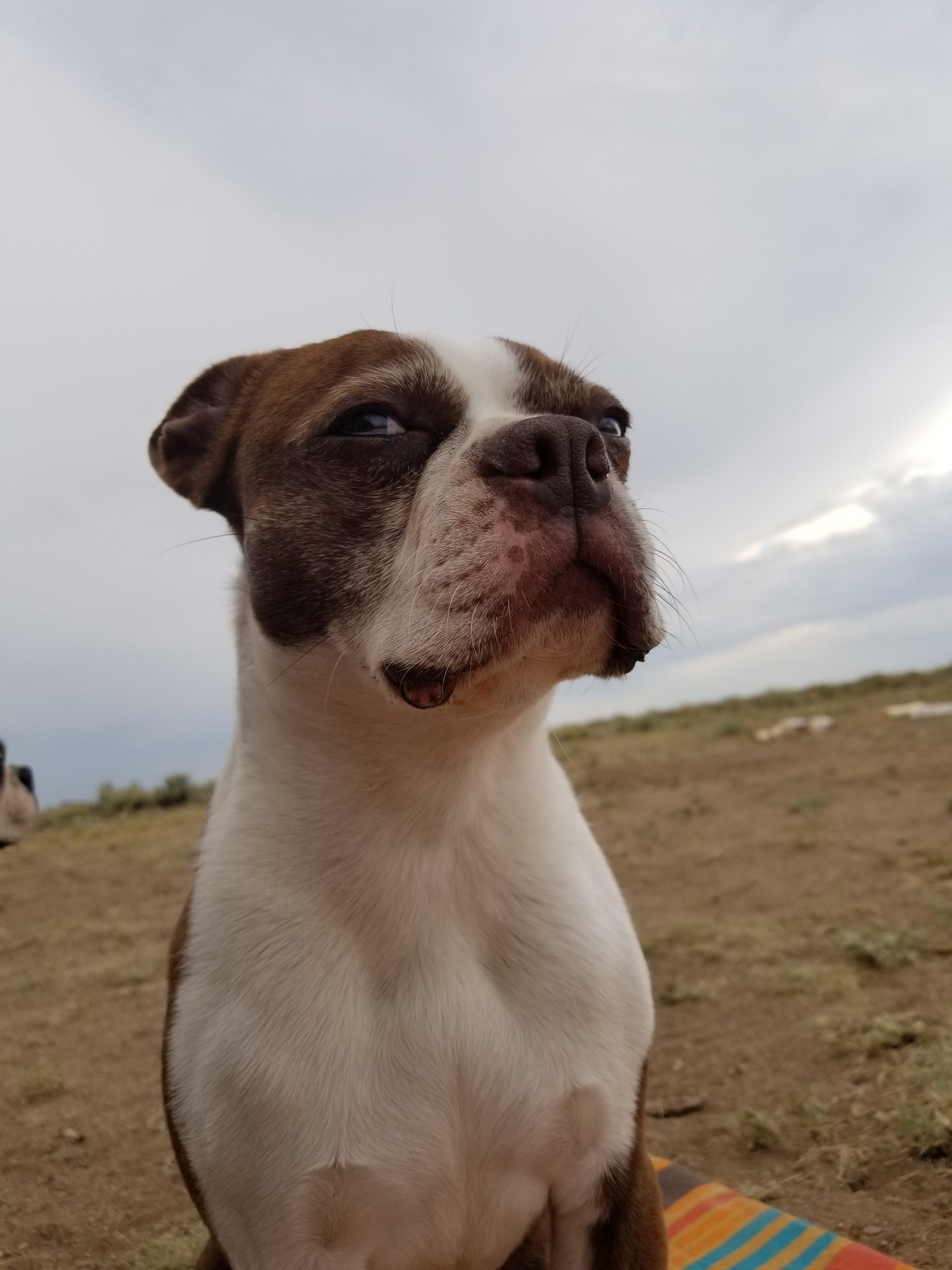 Sand Dunes Base Camp